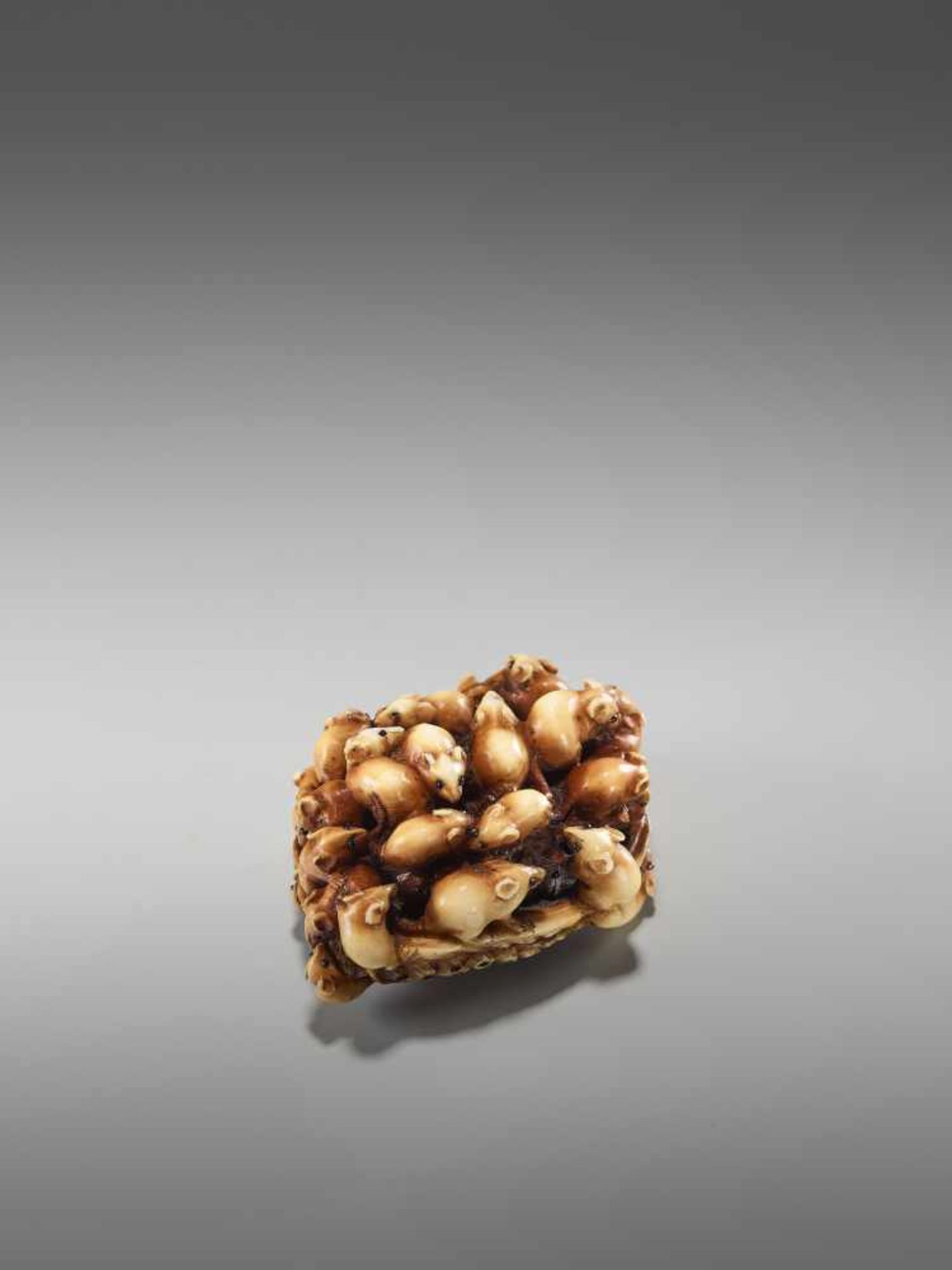 AN IVORY NETSUKE OF MANY RATS IN AN AWABI SHELL BY MASAMITSUBy Masamitsu, ivory netsukeJapan, late - Image 8 of 10