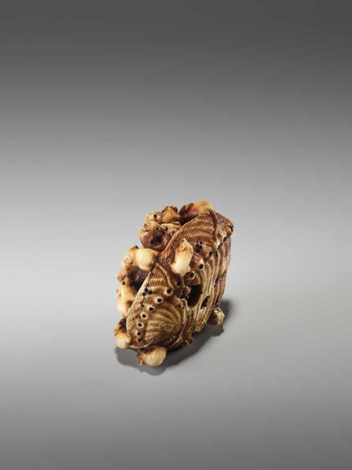 AN IVORY NETSUKE OF MANY RATS IN AN AWABI SHELL BY MASAMITSUBy Masamitsu, ivory netsukeJapan, late - Bild 9 aus 10