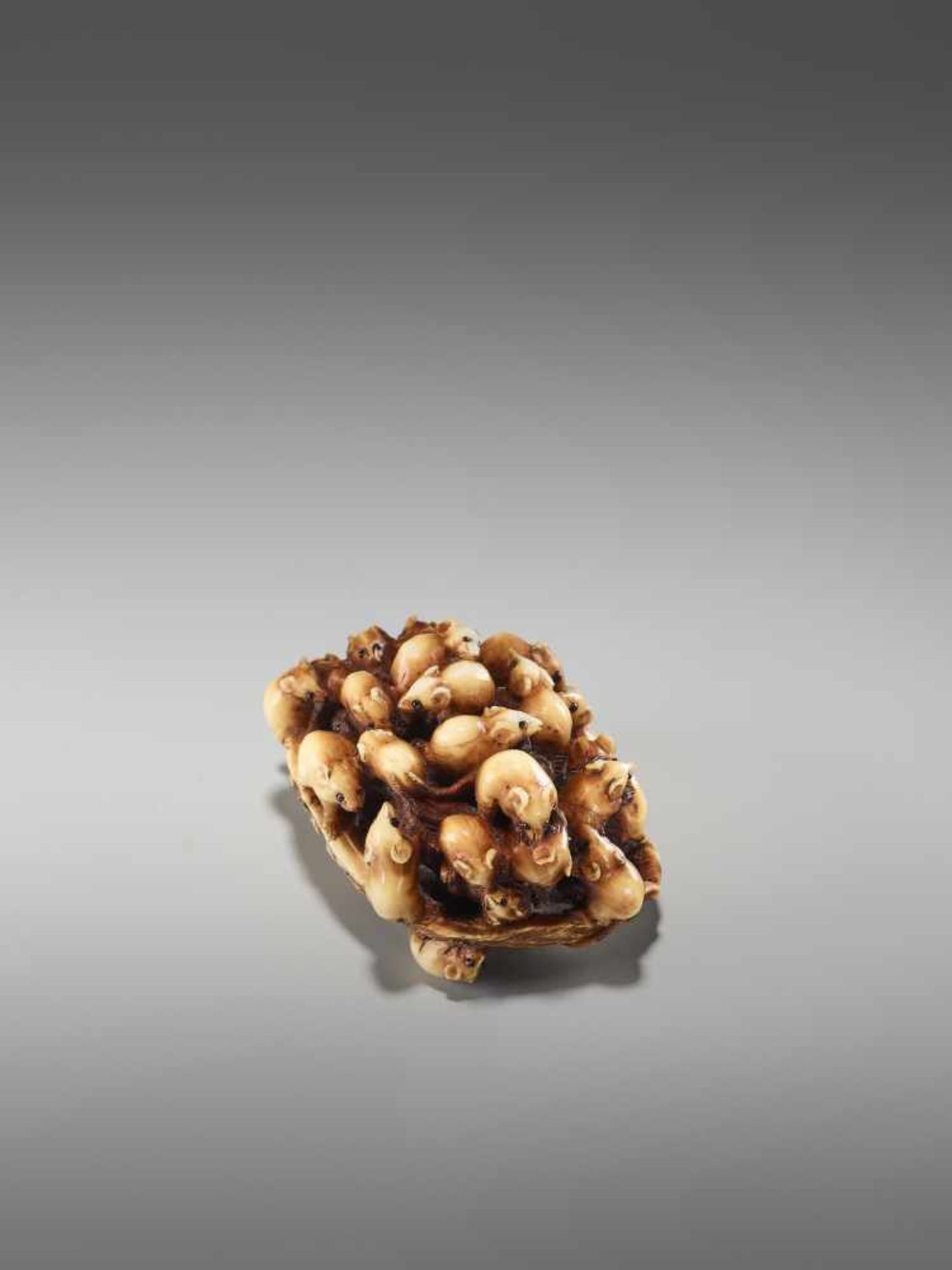 AN IVORY NETSUKE OF MANY RATS IN AN AWABI SHELL BY MASAMITSUBy Masamitsu, ivory netsukeJapan, late - Image 4 of 10