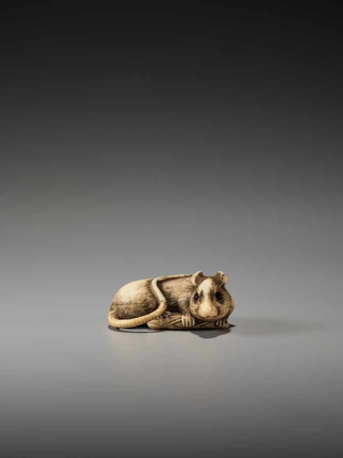 AN EXCELLENT IVORY NETSUKE OF A RAT WITH BAMBOO NODE BY SADAYOSHIBy Sadayoshi, ivory netsukeJapan, - Image 6 of 11