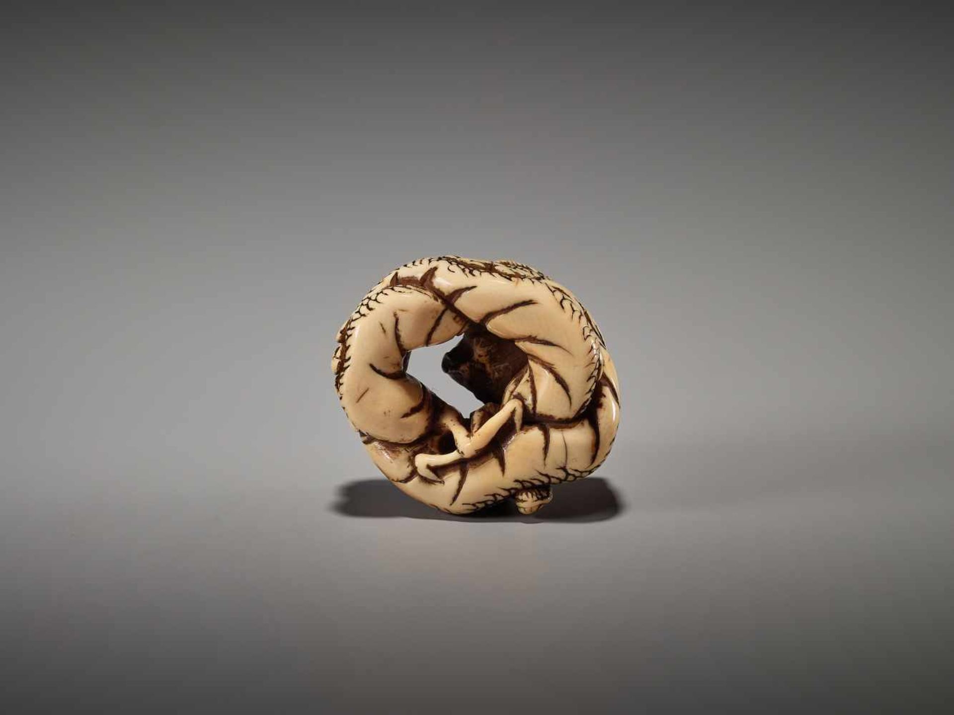 A KYOTO-SCHOOL IVORY NETSUKE OF A COILED DRAGONUnsigned, ivory netsukeJapan, Kyoto, late 18th to - Bild 8 aus 8