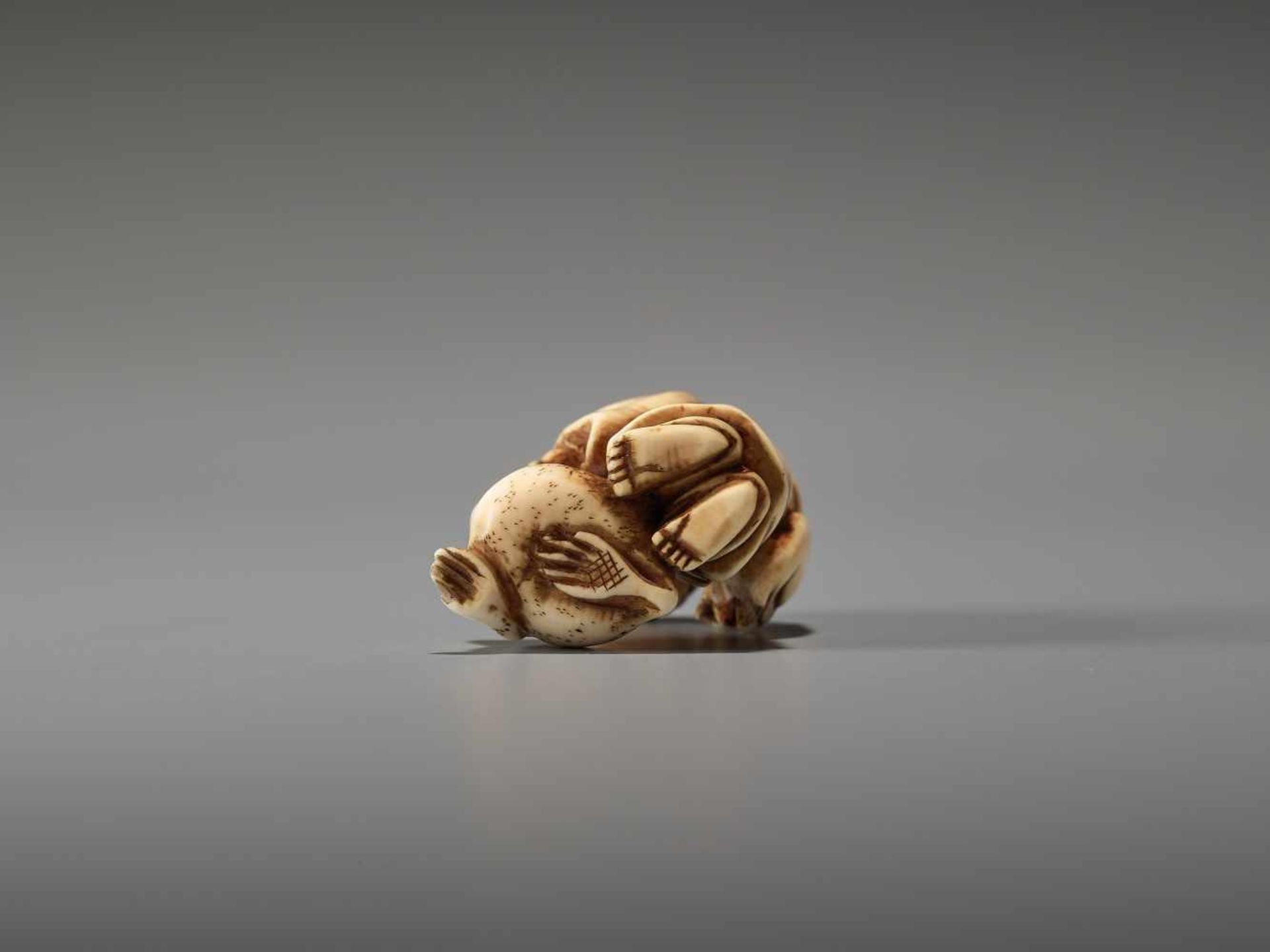 AN IVORY NETSUKE OF GAMA SENNIN WITH LARGE TOADUnsigned, ivory netsukeJapan, 19th century, Edo - Bild 6 aus 6