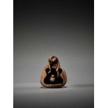 AN AMUSING IVORY NETSUKE OF TWO ACROBATIC MONKEYS IN A CHESTNUT BY TAMEKAZUBy Tamekazu, ivory