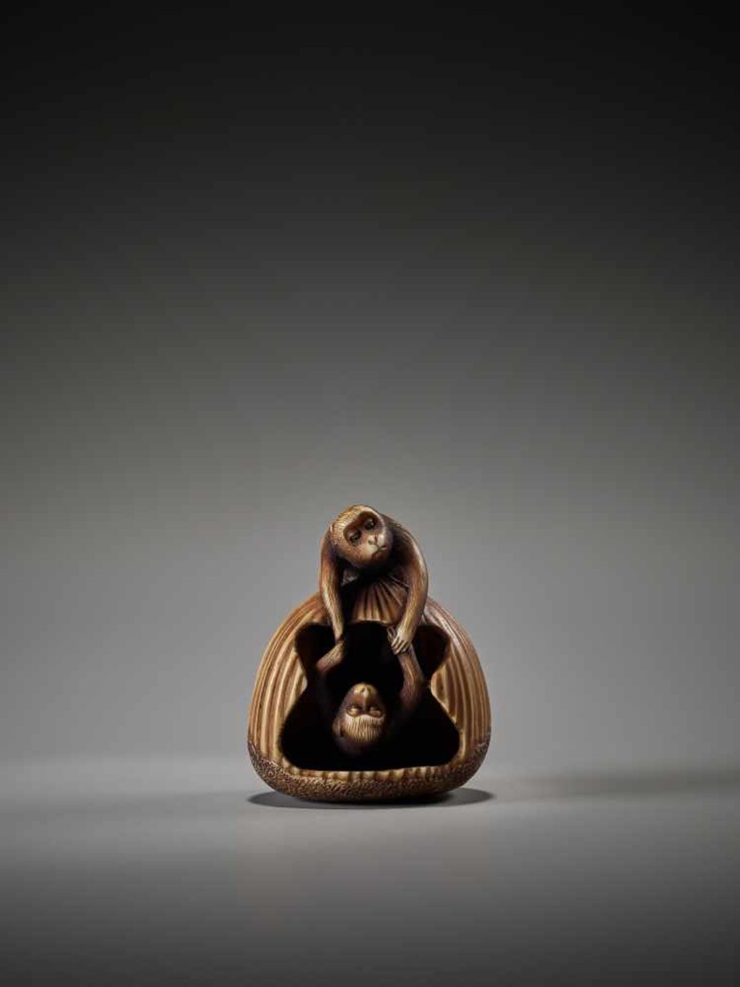 AN AMUSING IVORY NETSUKE OF TWO ACROBATIC MONKEYS IN A CHESTNUT BY TAMEKAZUBy Tamekazu, ivory