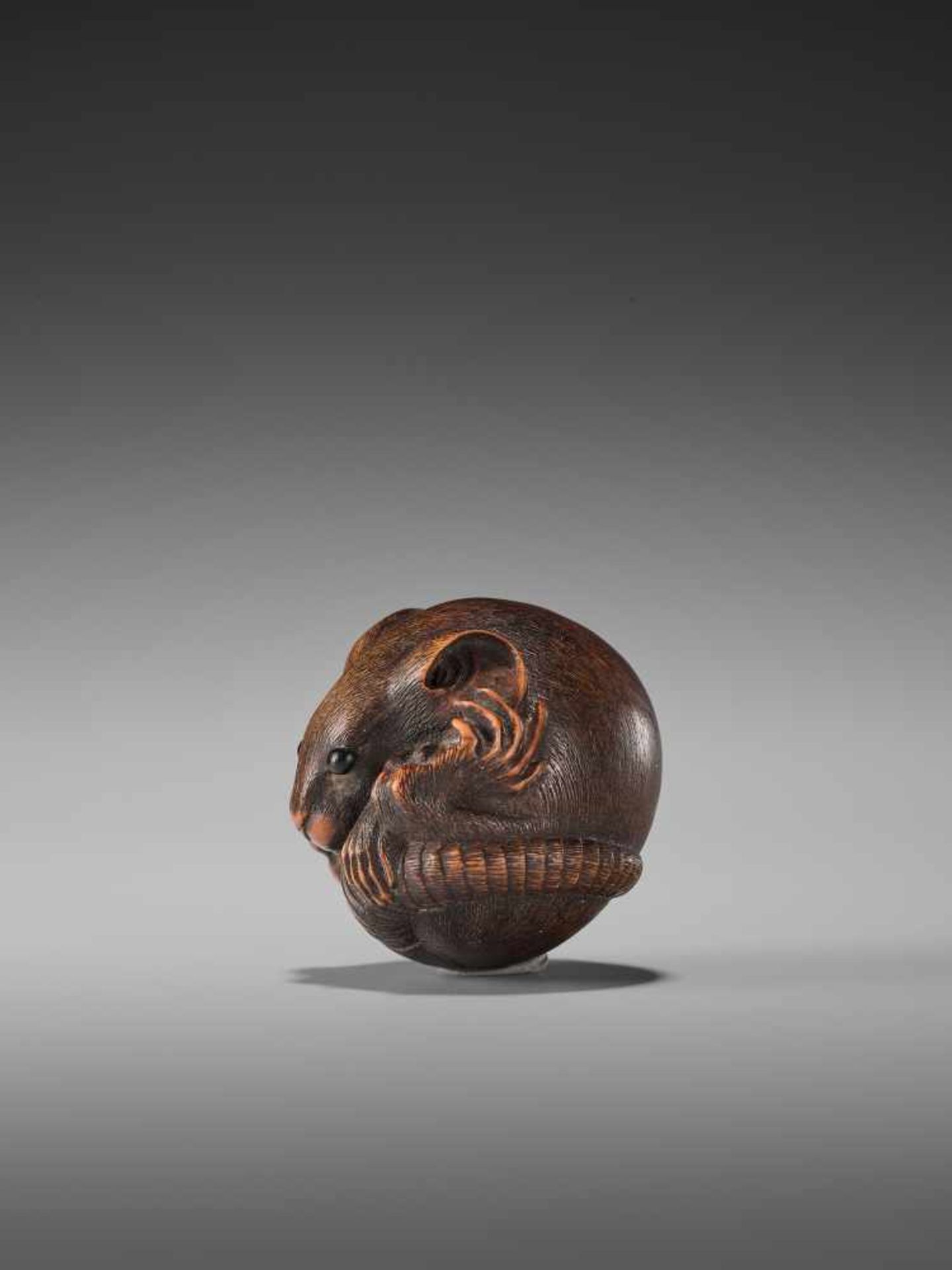 A LARGE WOOD NETSUKE OF A COILED RAT BY MASANAOBy Masanao, wood netsukeJapan, Ise-Yamada, 19th - Image 4 of 9