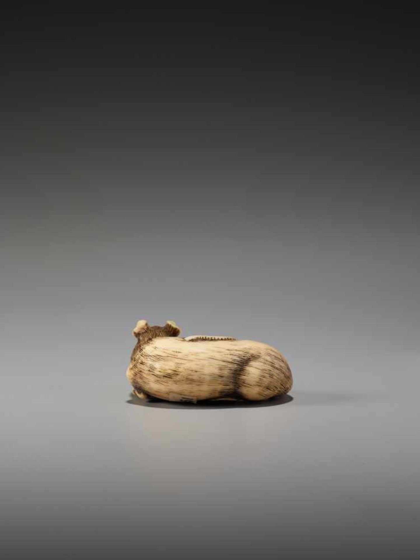 AN EXCELLENT IVORY NETSUKE OF A RAT WITH BAMBOO NODE BY SADAYOSHIBy Sadayoshi, ivory netsukeJapan, - Image 8 of 11