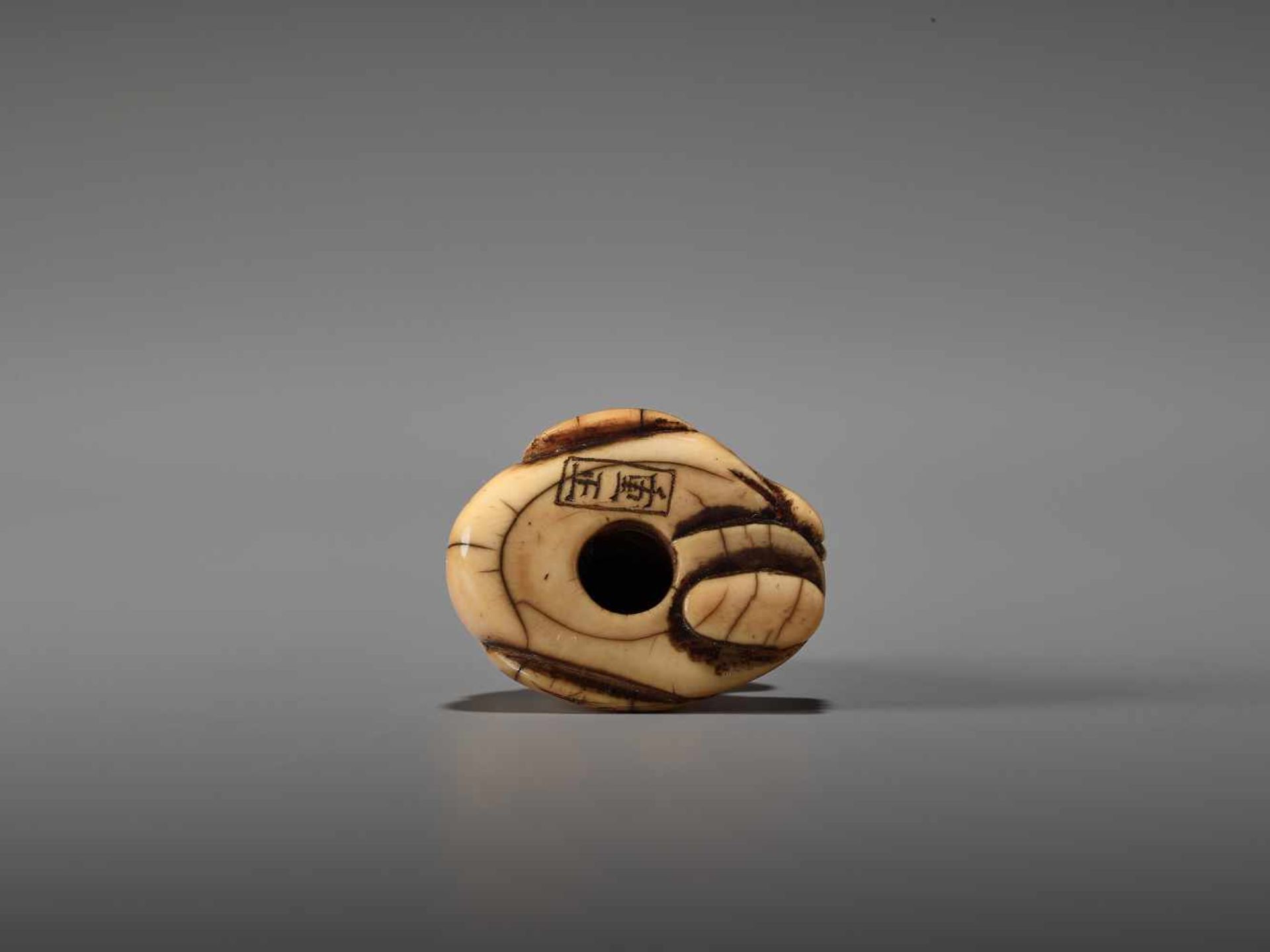 AN IVORY NETSUKE OF FUKUROKUJU SIGNED BY SHIGEMASASigned by Shigemasa, ivory netsukeJapan, 18th - Bild 8 aus 9