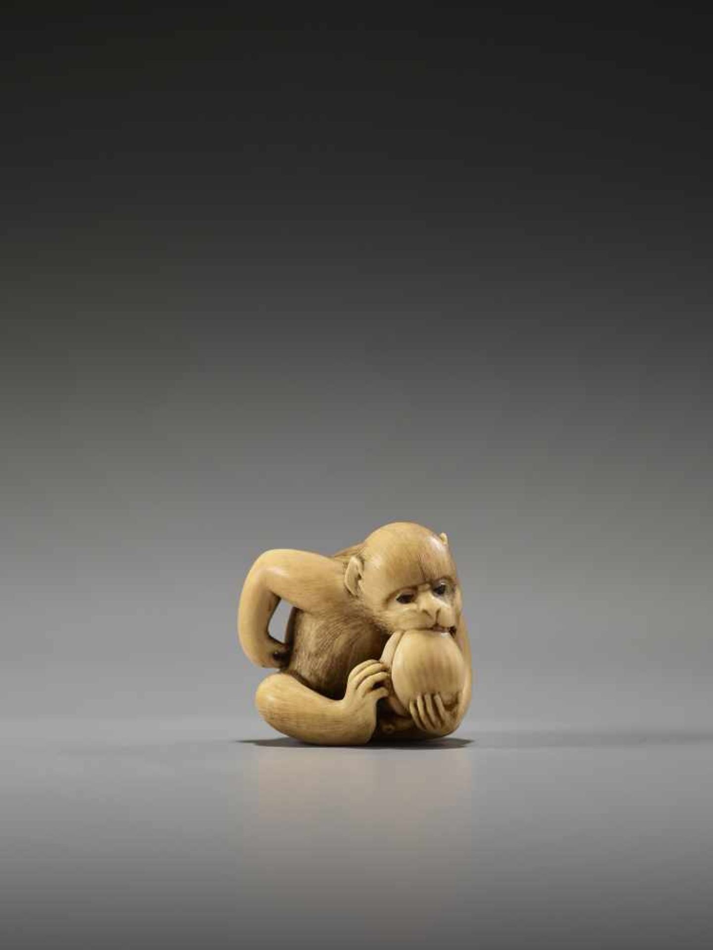 AN EXCELLENT IVORY NETSUKE OF A MONKEY EATING A PEACH BY RANTEIBy Rantei, ivory netsukeJapan, Kyoto,