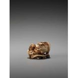 AN EXCEPTIONAL IVORY NETSUKE OF A TIGER WITH CUB BY HAKURYUBy Hakuryu, ivory netsukeJapan, Kyoto,