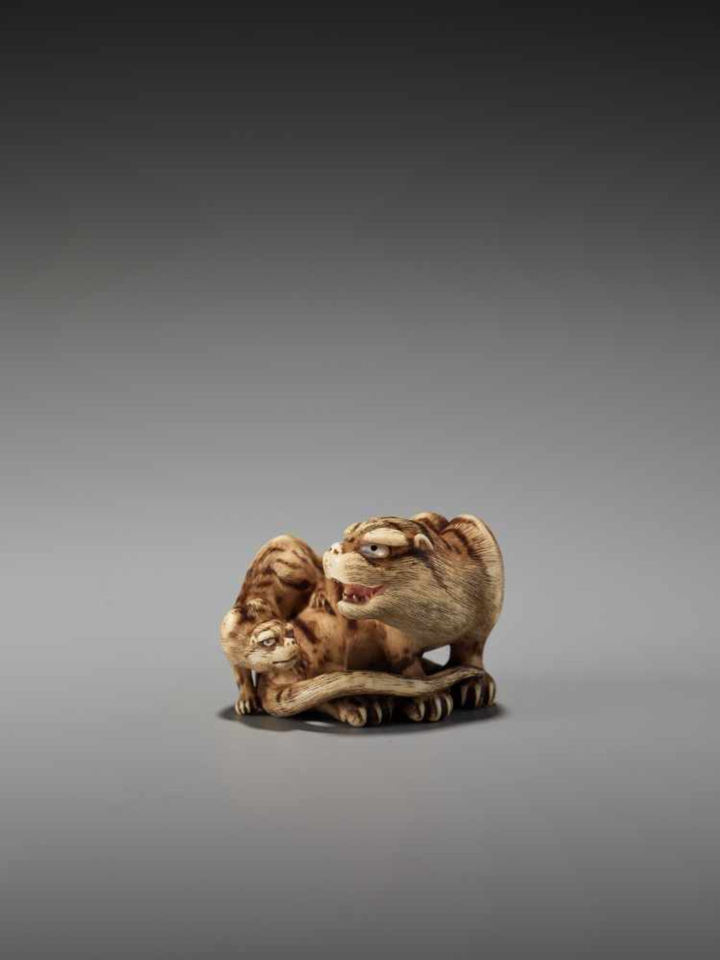 AN EXCEPTIONAL IVORY NETSUKE OF A TIGER WITH CUB BY HAKURYUBy Hakuryu, ivory netsukeJapan, Kyoto,