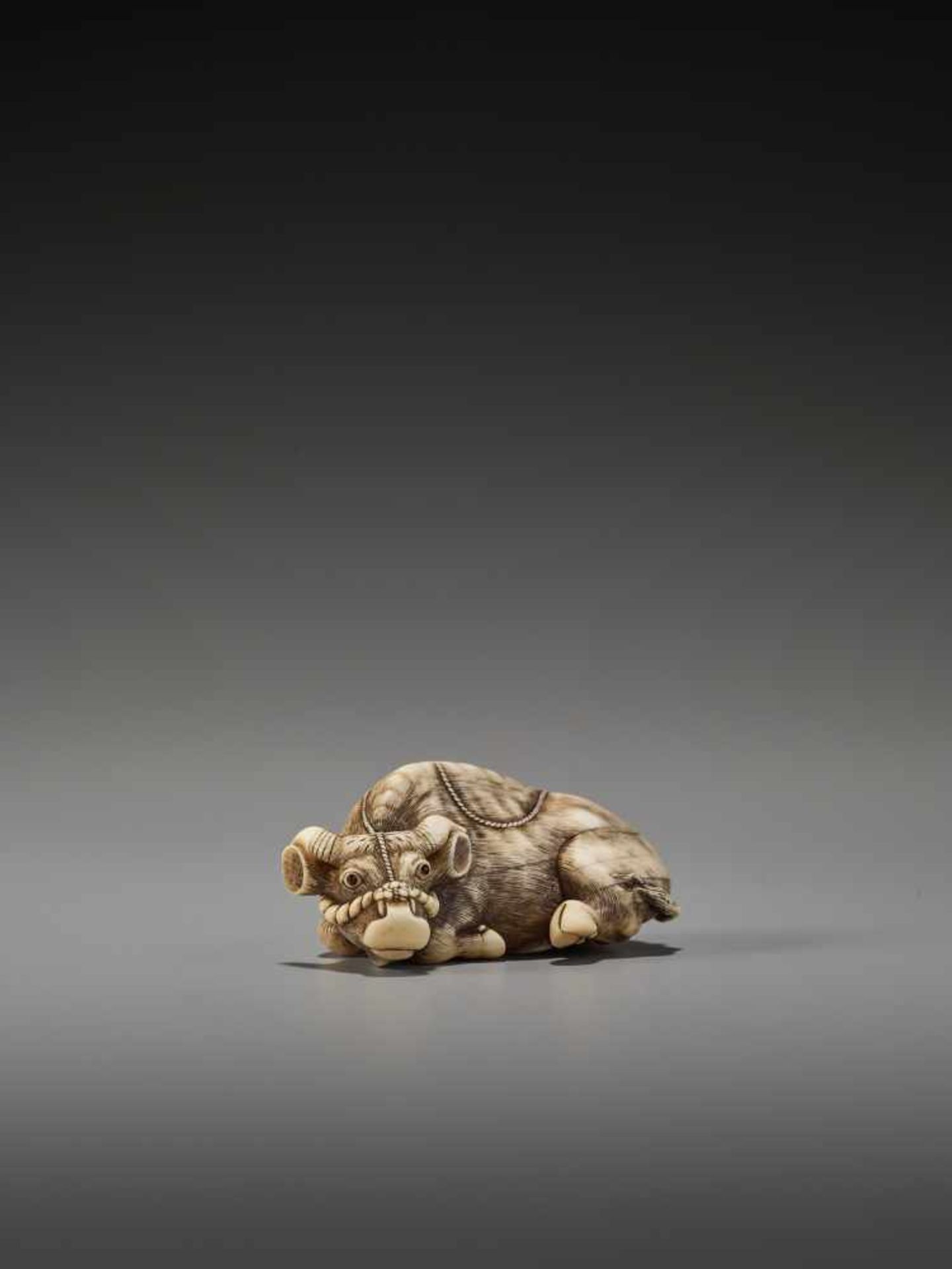 AN EXCELLENT IVORY NETSUKE OF A RECUMBENT OX BY TOMOTADABy Tomotada, ivory netsukeJapan, Kyoto, 18th - Image 6 of 12