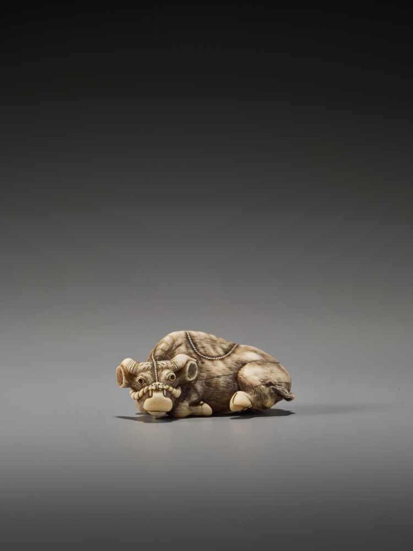 AN EXCELLENT IVORY NETSUKE OF A RECUMBENT OX BY TOMOTADABy Tomotada, ivory netsukeJapan, Kyoto, 18th - Image 7 of 12