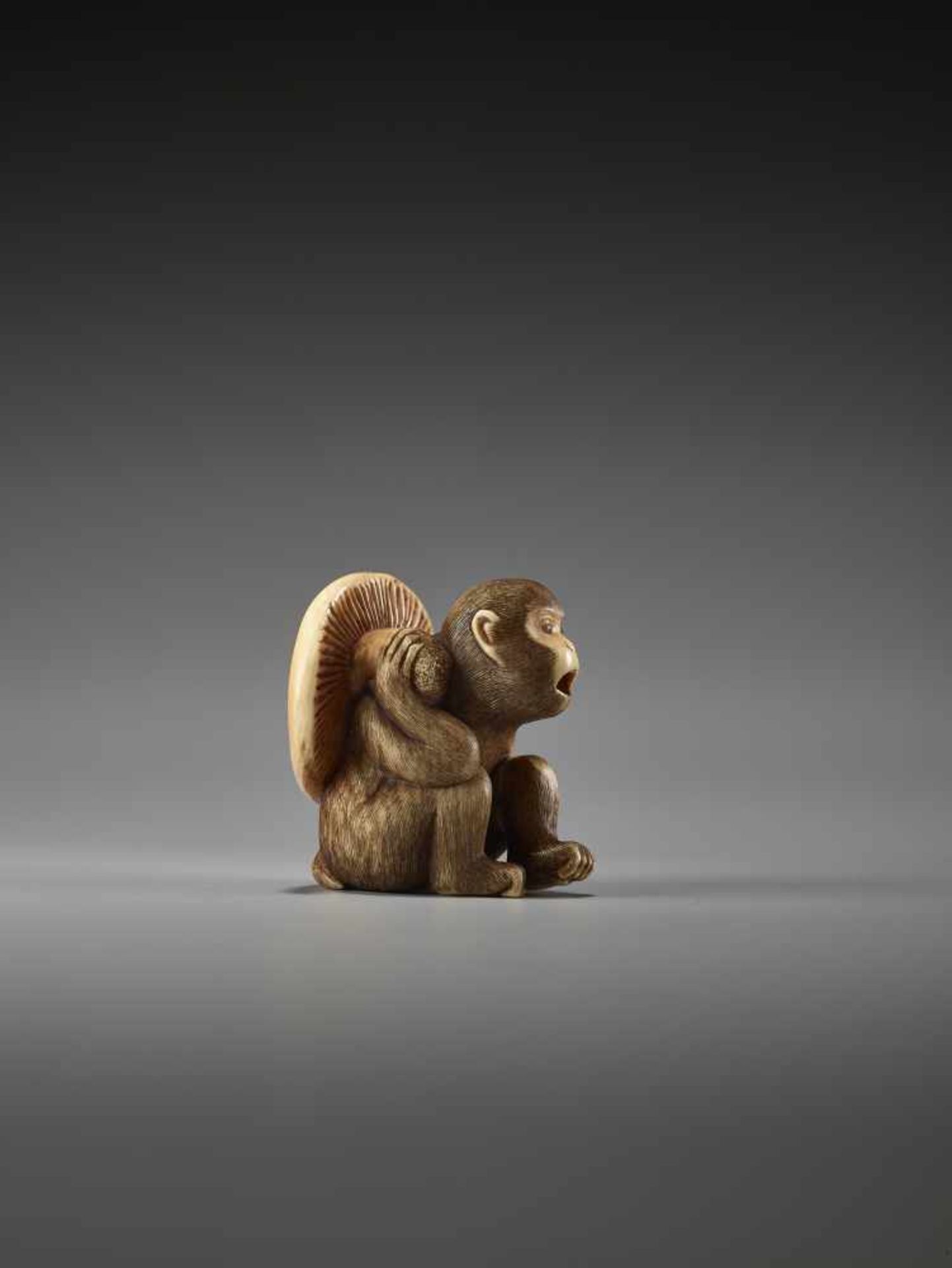 A FINE IVORY NETSUKE OF A MONKEY CARRYING A LARGE MUSHROOMUnsigned, ivory netsukeJapan, 19th - Bild 2 aus 7