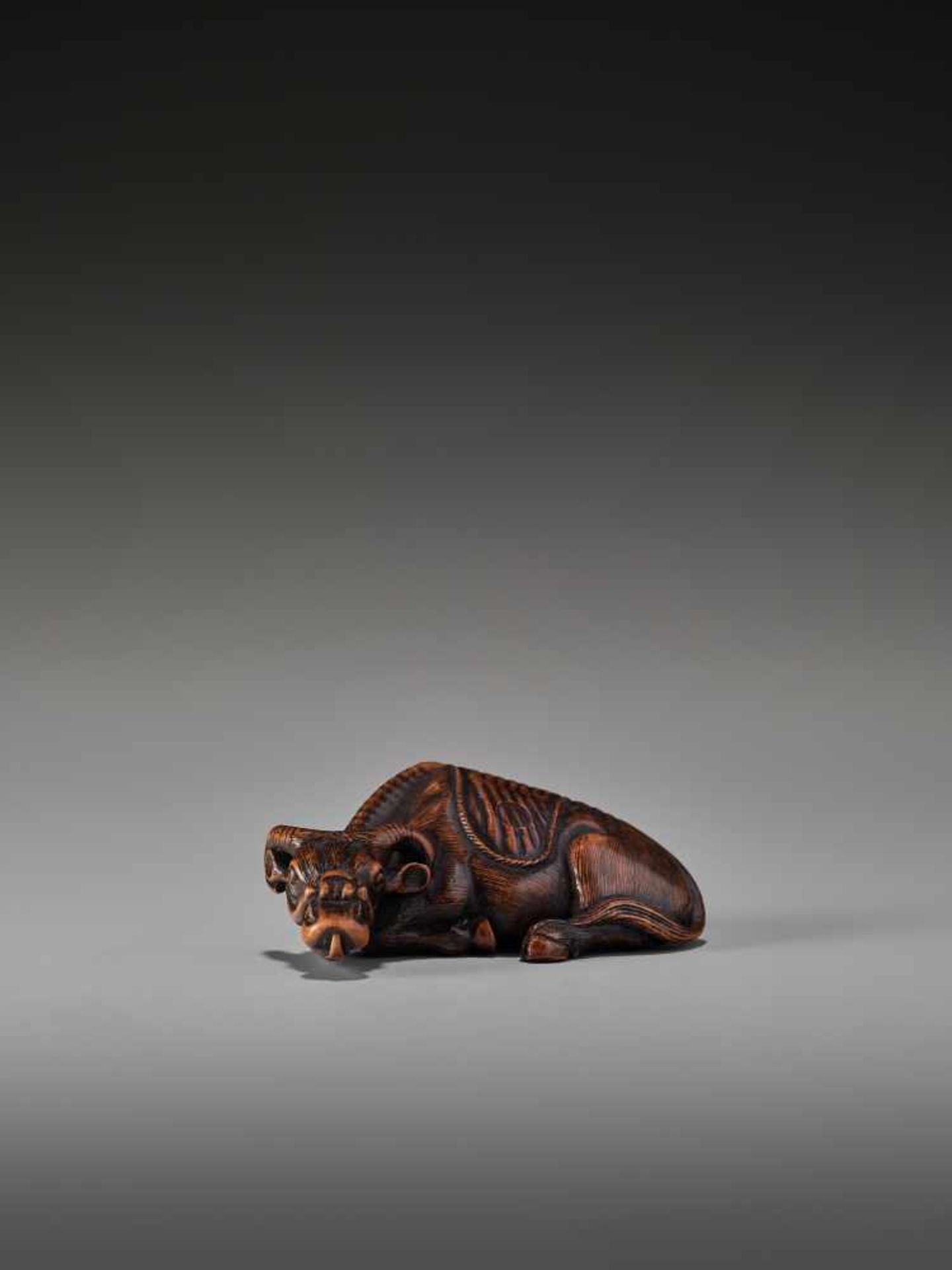 A RARE WOOD NETSUKE OF A RECUMBENT OX SIGNED TOMOTADASigned Tomotada, wood netsukeJapan, 19th - Bild 2 aus 8