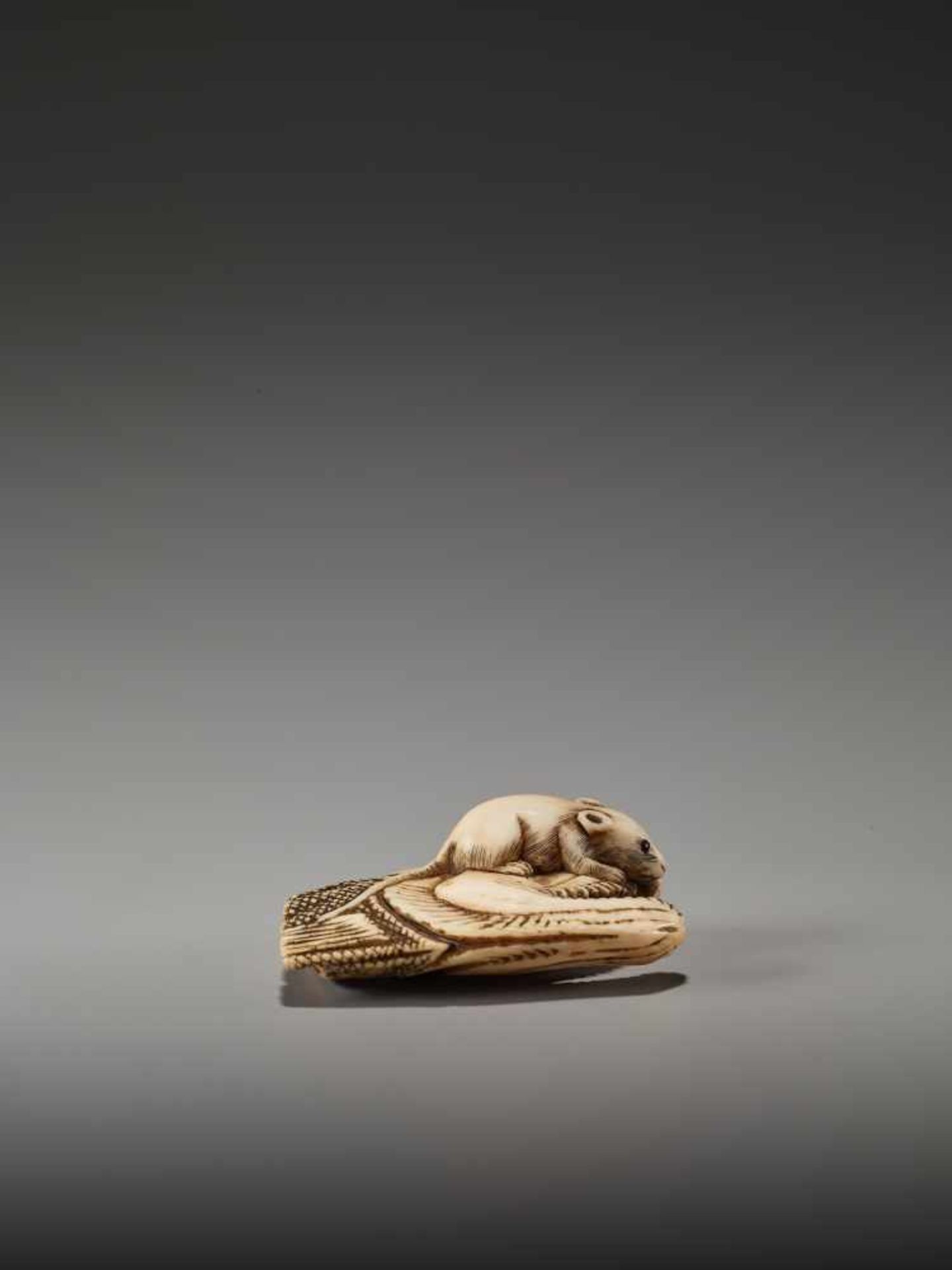 AN IVORY NETSUKE OF A RAT ON A DRIED SALMON HEADUnsigned, ivory netsukeJapan, 19th century, Edo - Bild 6 aus 7