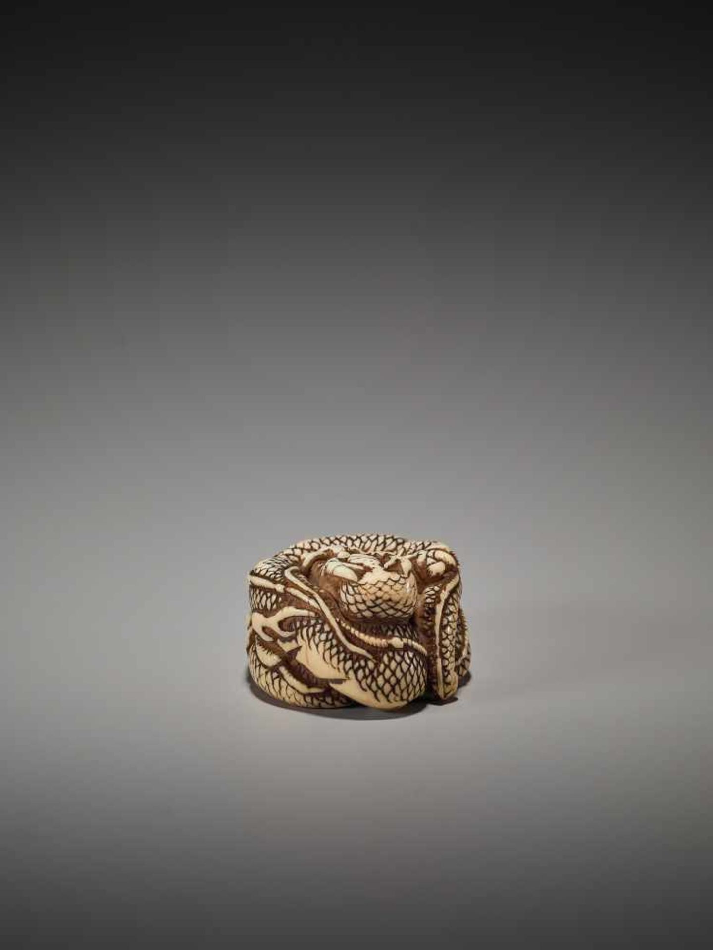 A KYOTO-SCHOOL IVORY NETSUKE OF A COILED DRAGONUnsigned, ivory netsukeJapan, Kyoto, late 18th to - Bild 4 aus 8