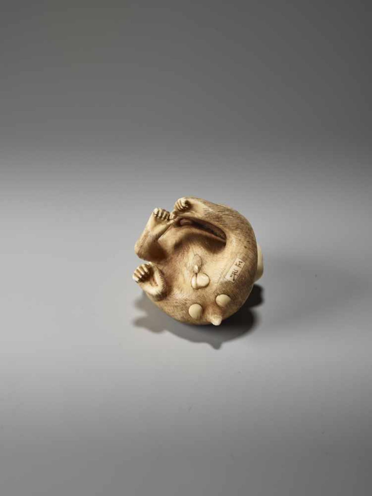 AN IVORY NETSUKE OF A MONKEY WITH KAKI FRUIT BY MASATAMIBy Masatami, ivory netsukeJapan, Tokyo, late - Image 8 of 9