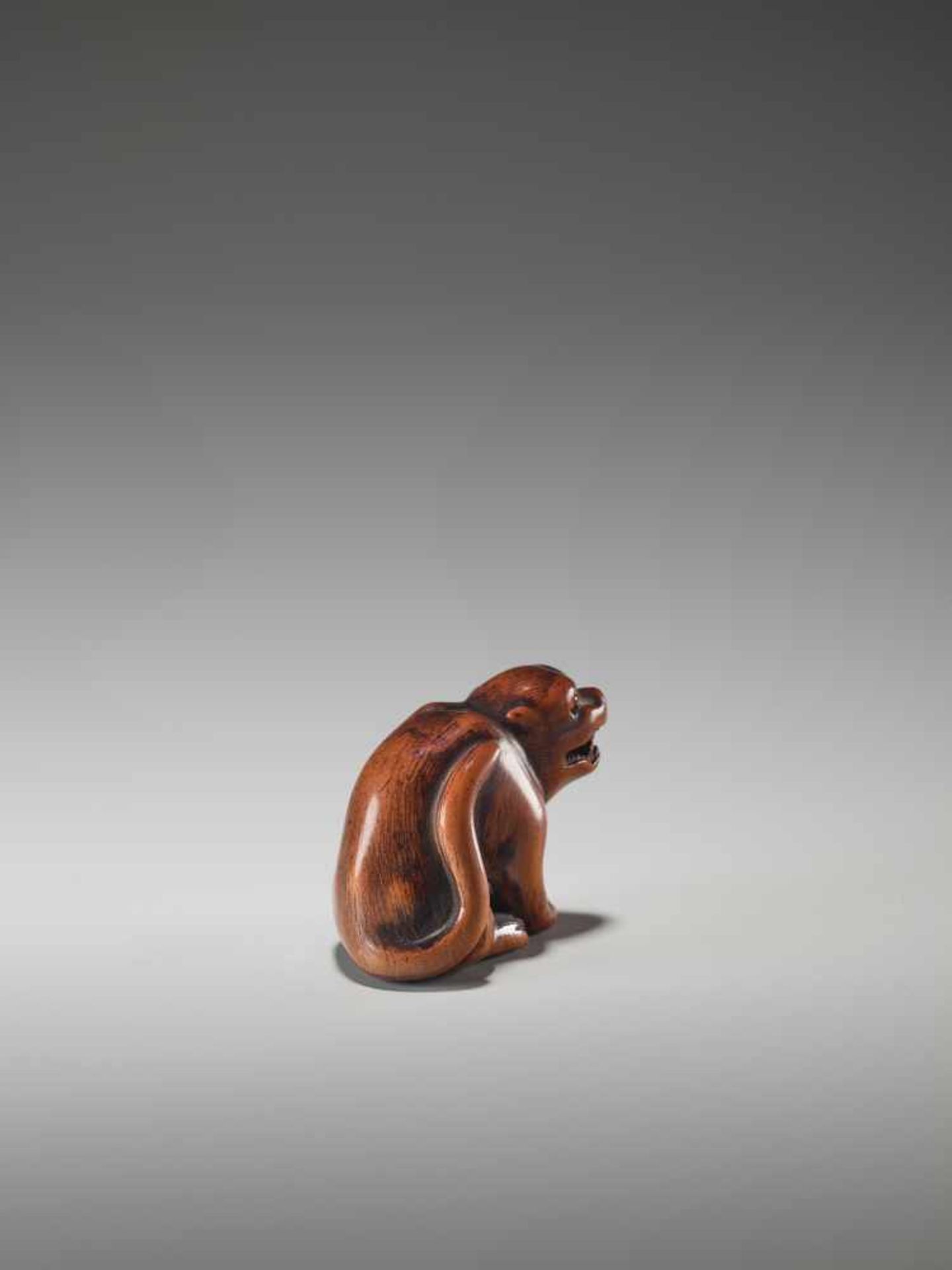 A WOOD NETSUKE OF A TIGERUnsigned, wood netsukeJapan, early 19th century, Edo period (1615-1868) - Bild 6 aus 8