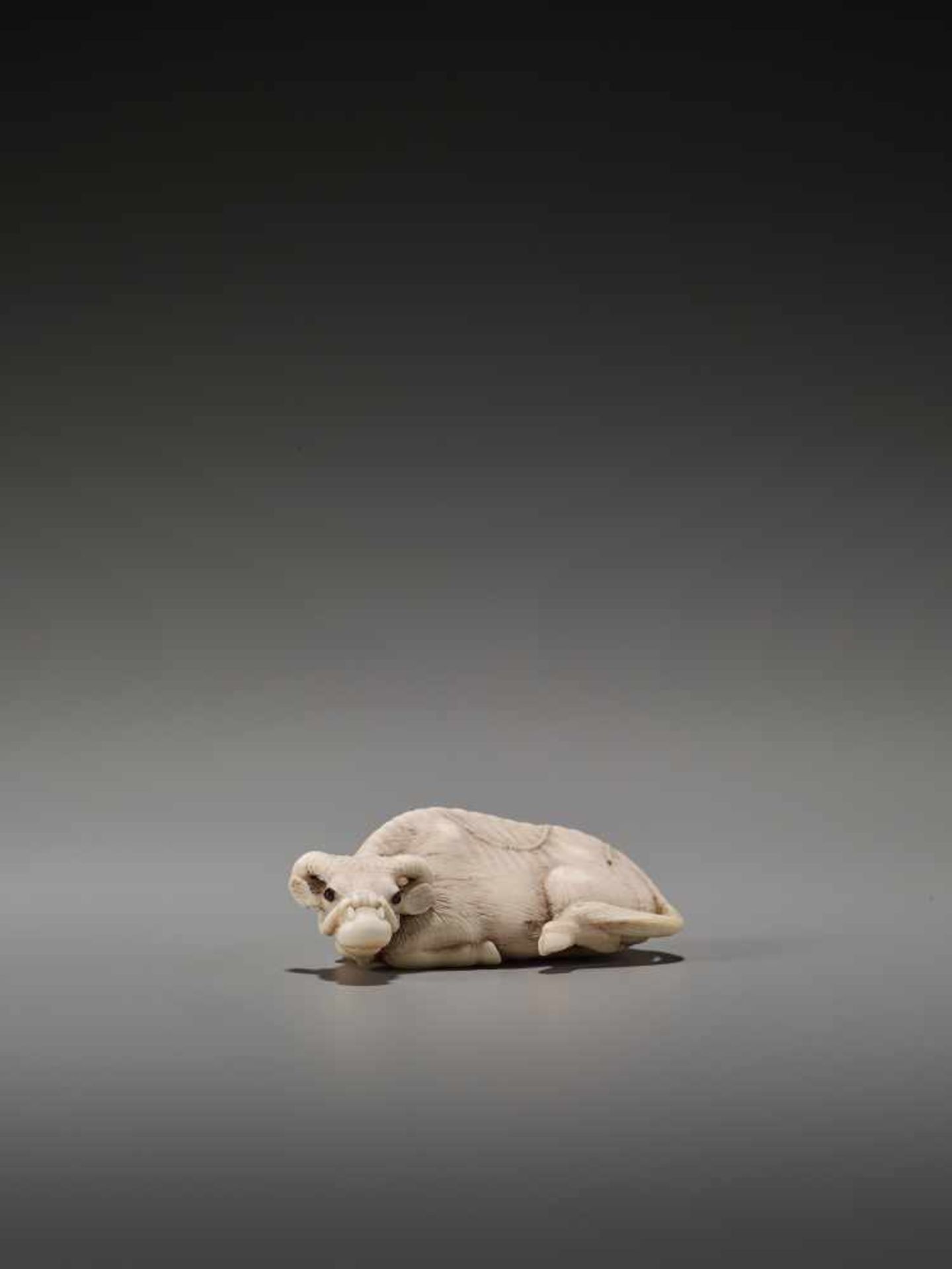 A FINE IVORY NETSUKE OF A RECUMBENT OX AFTER TOMOTADAAfter Tomotada, ivory netsukeJapan, Kyoto, 19th - Bild 7 aus 8