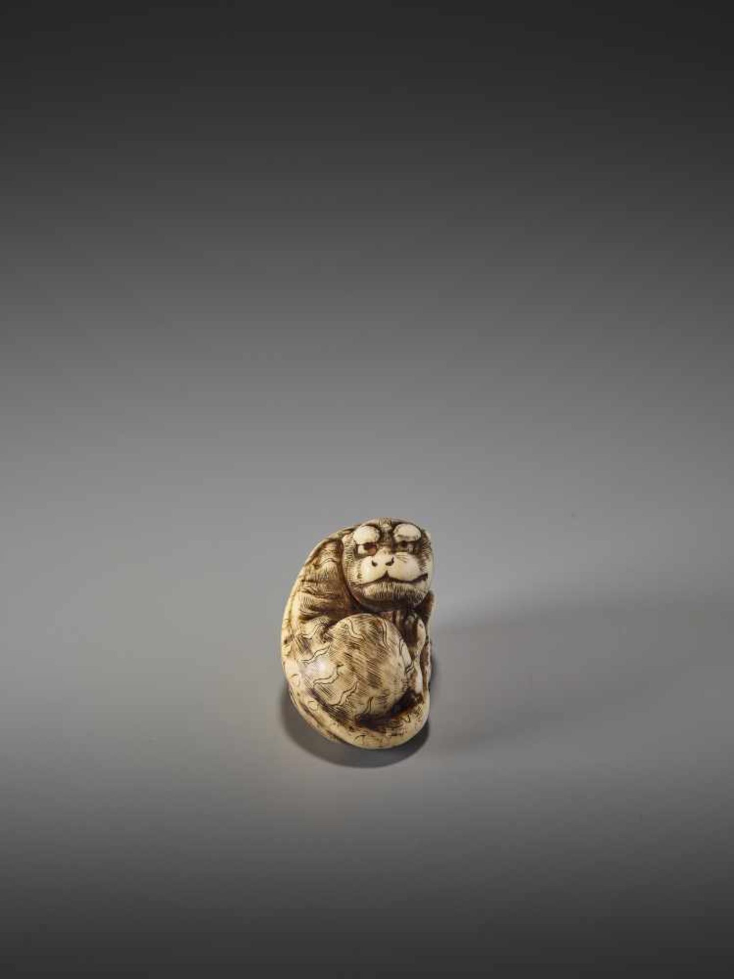 A GOOD KYOTO SCHOOL IVORY NETSUKE OF A TIGERUnsigned, ivory netsukeJapan, Kyoto, early 19th century,