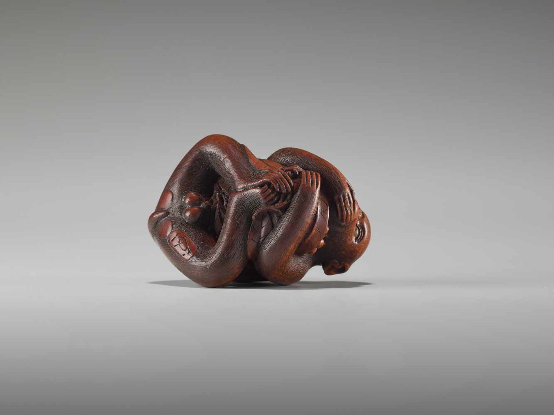 AN EXCELLENT WOOD NETSUKE OF A MONKEY EATING BERRIES BY KANO TOMOKAZUBy Tomokazu, wood netsukeJapan, - Image 8 of 11