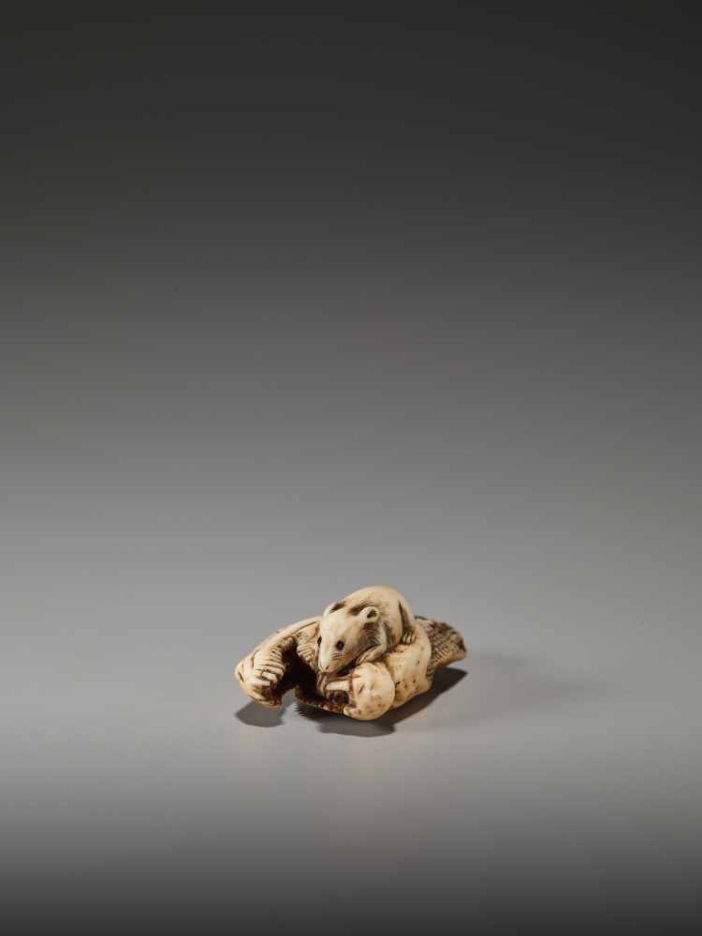 AN IVORY NETSUKE OF A RAT ON A DRIED SALMON HEADUnsigned, ivory netsukeJapan, 19th century, Edo - Bild 3 aus 7