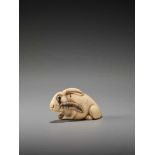 AN UNUSUAL AND AMUSING IVORY NETSUKE OF A RABBITUnsigned, ivory netsukeJapan, 19th century, Edo