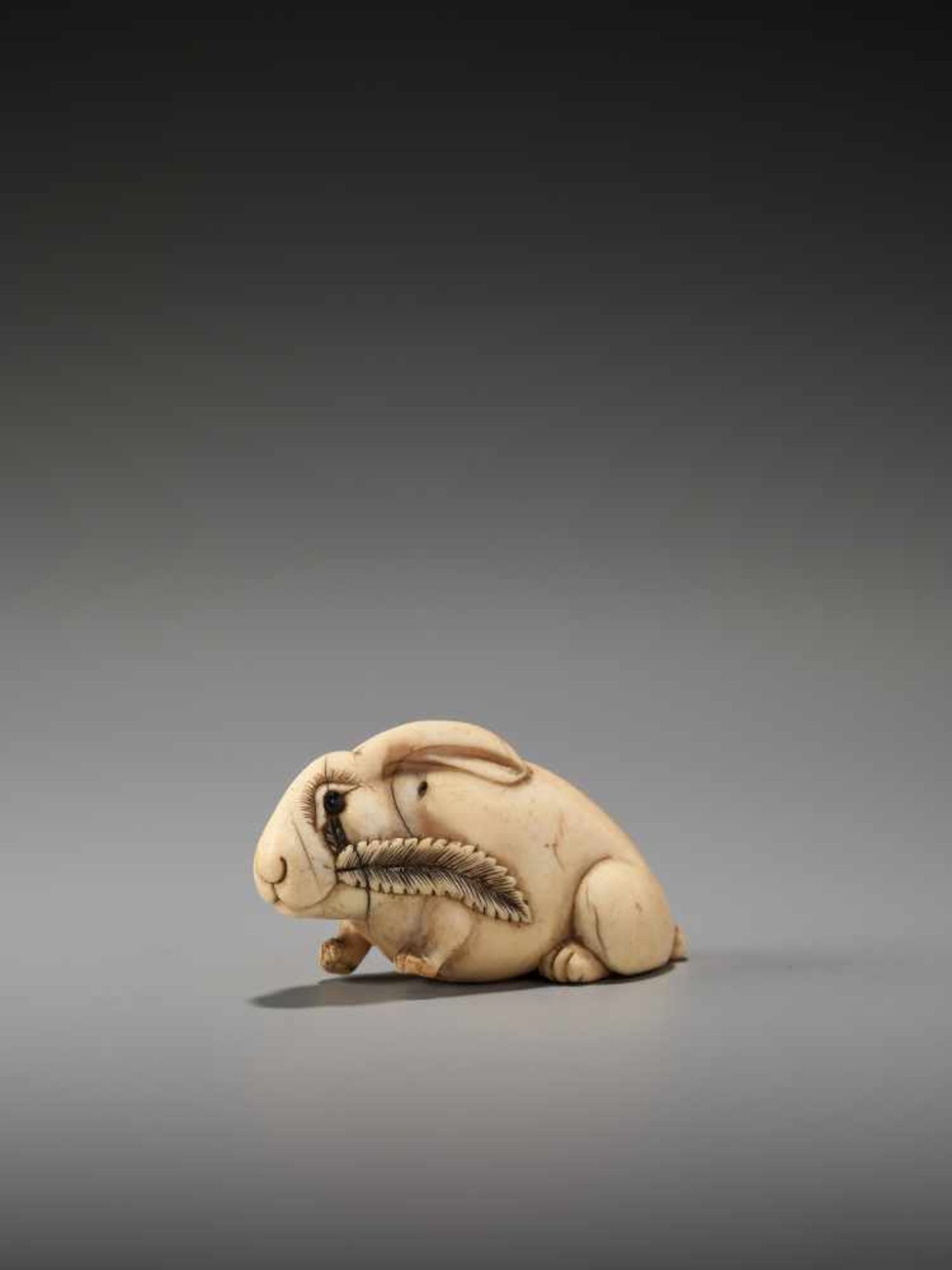 AN UNUSUAL AND AMUSING IVORY NETSUKE OF A RABBITUnsigned, ivory netsukeJapan, 19th century, Edo