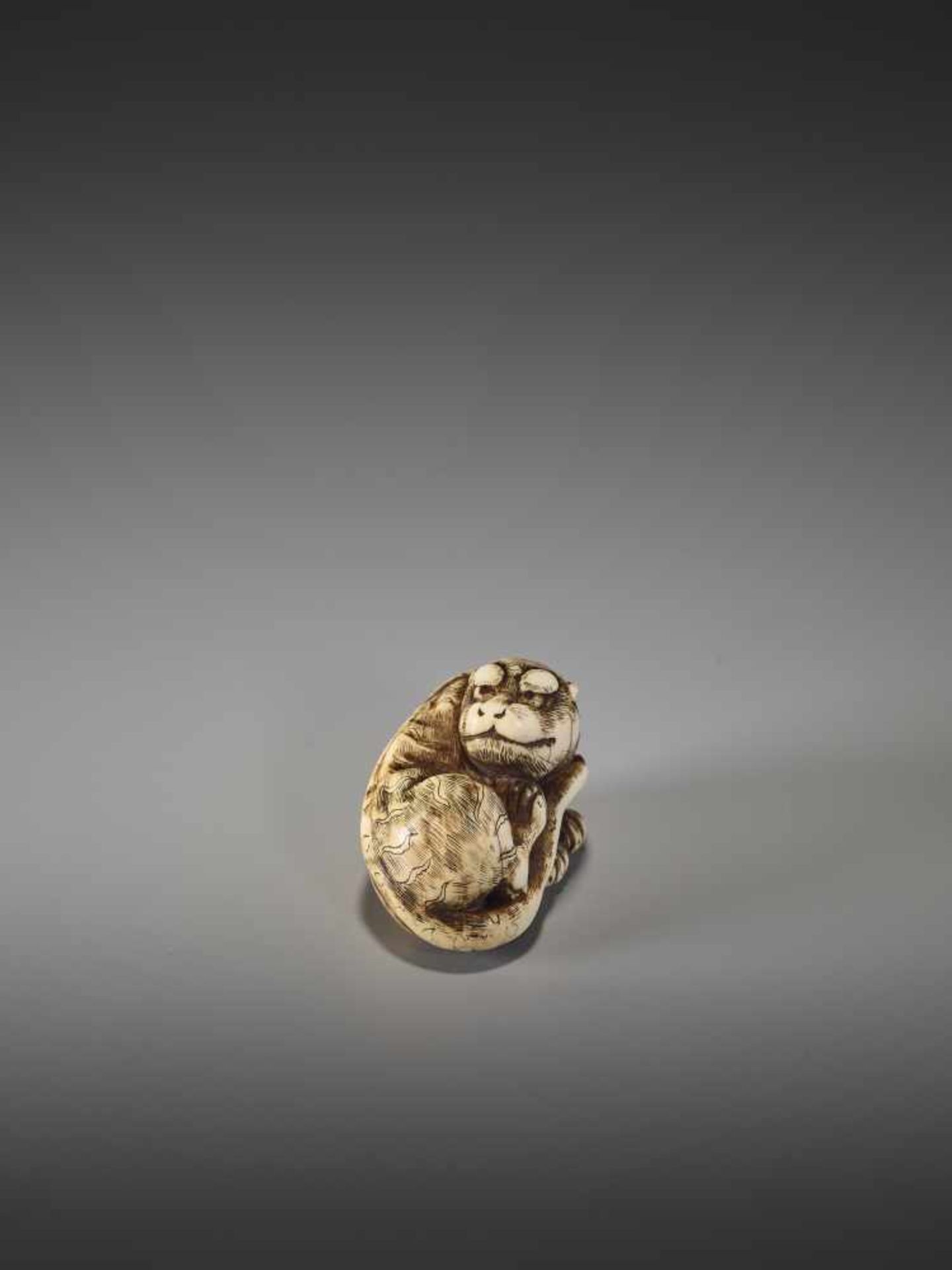 A GOOD KYOTO SCHOOL IVORY NETSUKE OF A TIGERUnsigned, ivory netsukeJapan, Kyoto, early 19th century, - Bild 7 aus 7