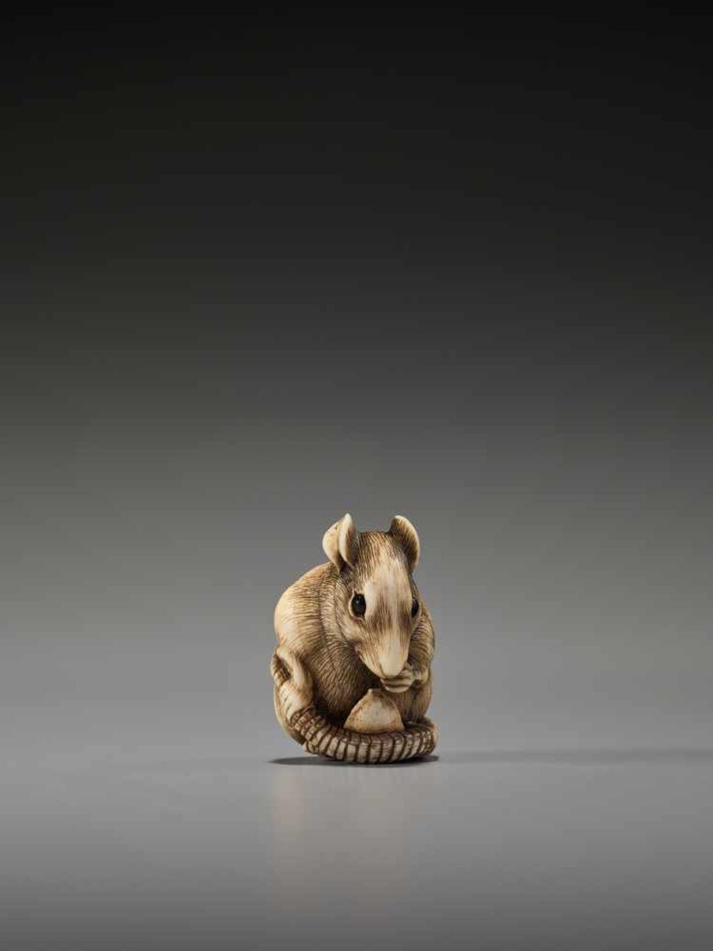 A POWERFUL KYOTO SCHOOL IVORY NETSUKE OF A RAT WITH A BEAN PODUnsigned, ivory netsukeJapan, Kyoto, - Image 9 of 12