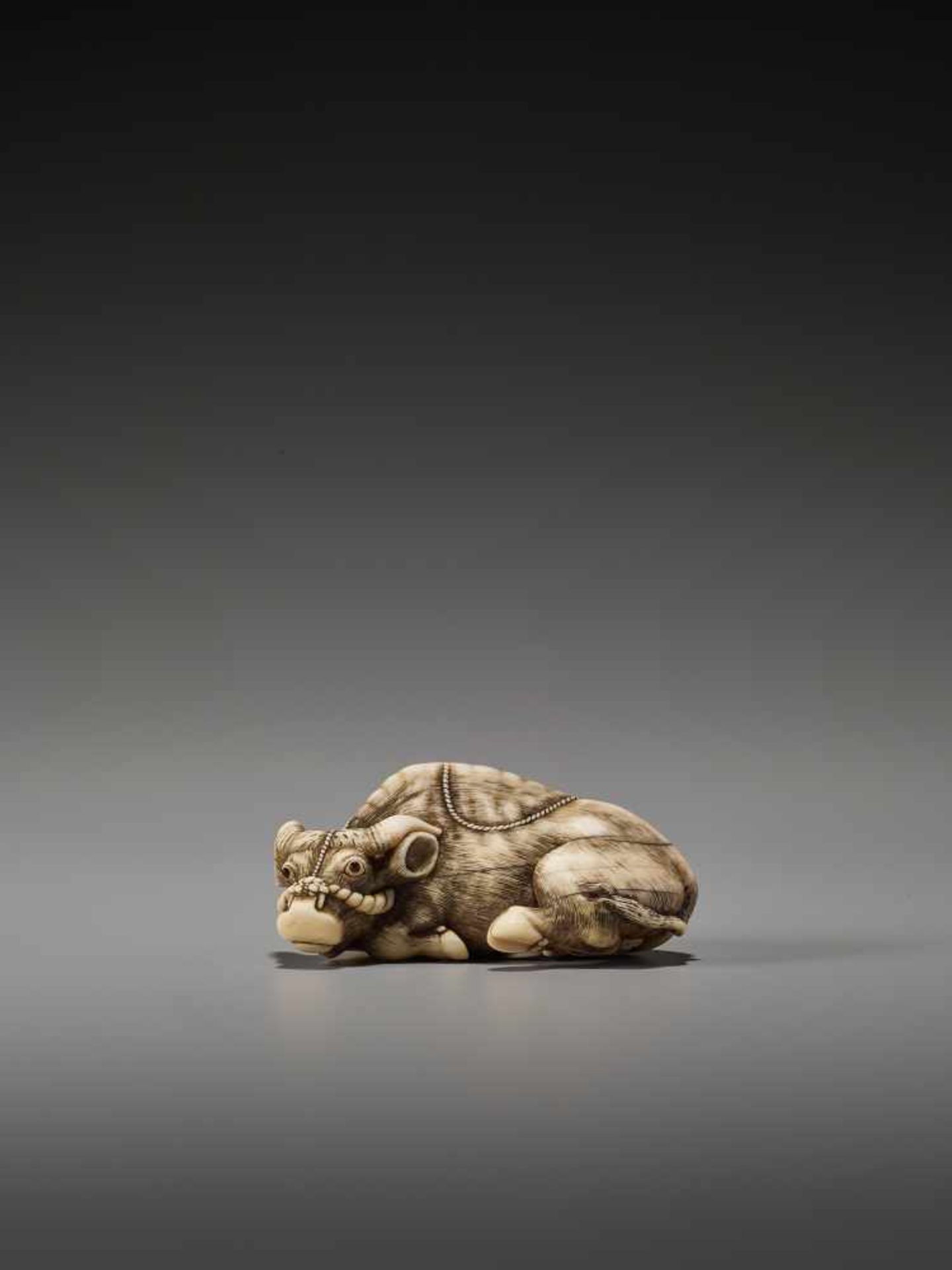 AN EXCELLENT IVORY NETSUKE OF A RECUMBENT OX BY TOMOTADABy Tomotada, ivory netsukeJapan, Kyoto, 18th