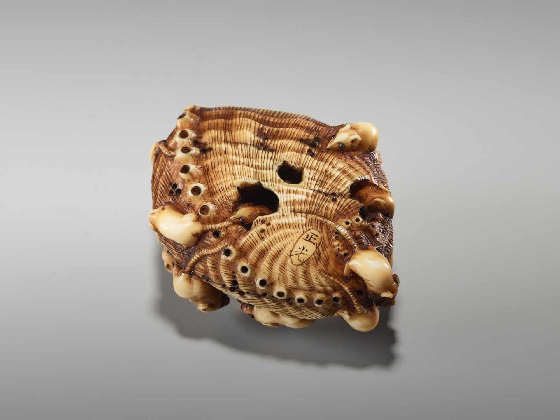 AN IVORY NETSUKE OF MANY RATS IN AN AWABI SHELL BY MASAMITSUBy Masamitsu, ivory netsukeJapan, late - Image 2 of 10