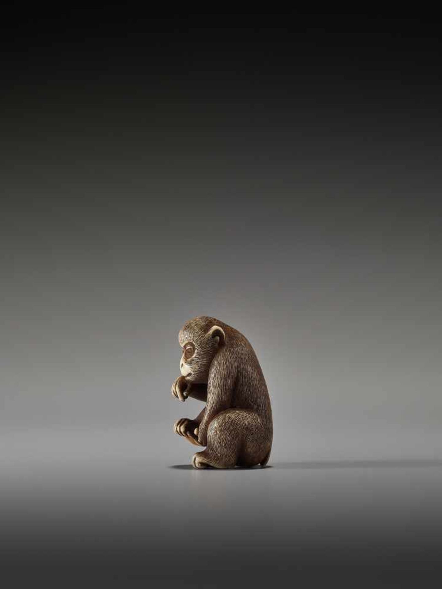 AN IVORY SHUNGA NETSUKE OF A MONKEYUnsigned, ivory shunga netsukeJapan, 20th centuryA very unusual - Image 4 of 7