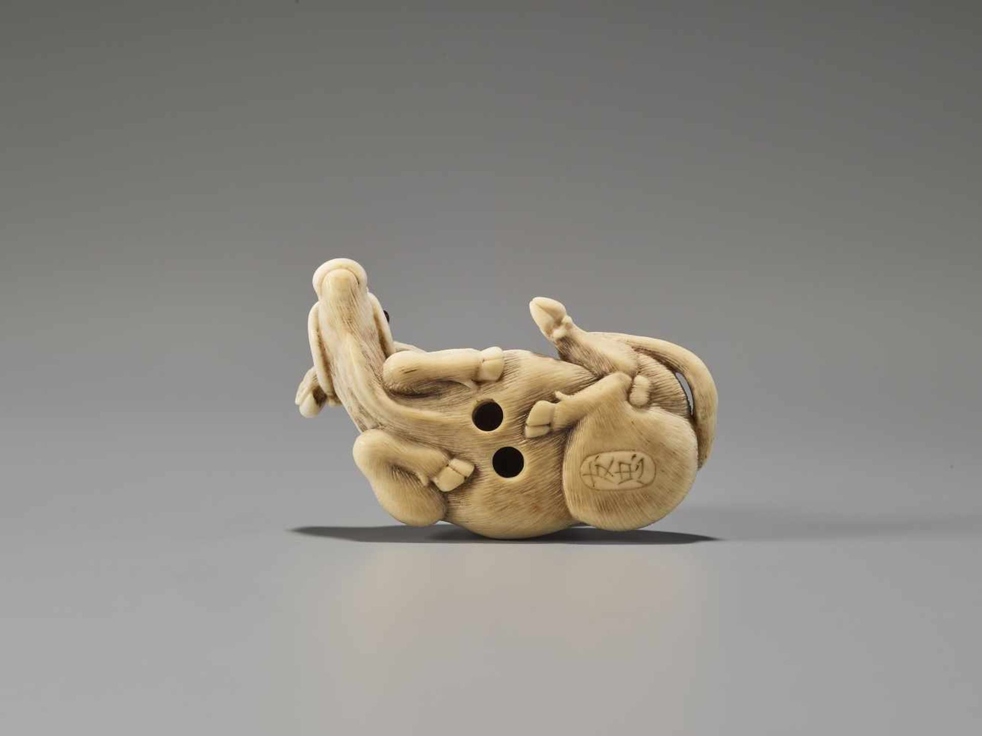 A FINE IVORY NETSUKE OF A RECUMBENT OX AFTER TOMOTADAAfter Tomotada, ivory netsukeJapan, Kyoto, 19th - Bild 2 aus 8