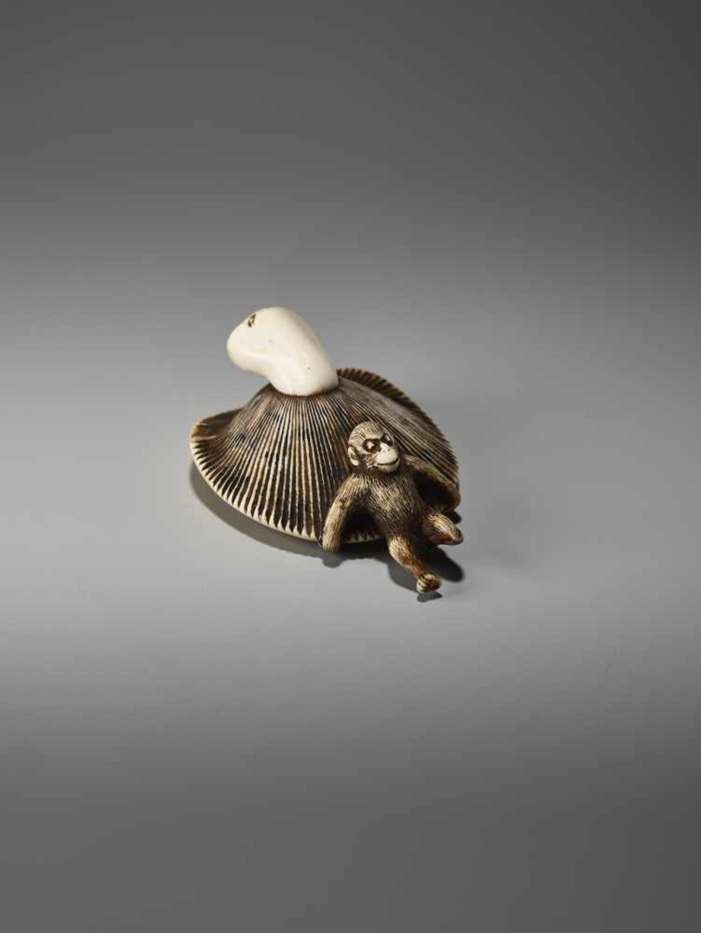 AN AMUSING IVORY NETSUKE OF A SMALL MONKEY CARRYING A LARGE MUSHROOMUnsigned, ivory netsukeJapan, - Bild 6 aus 9