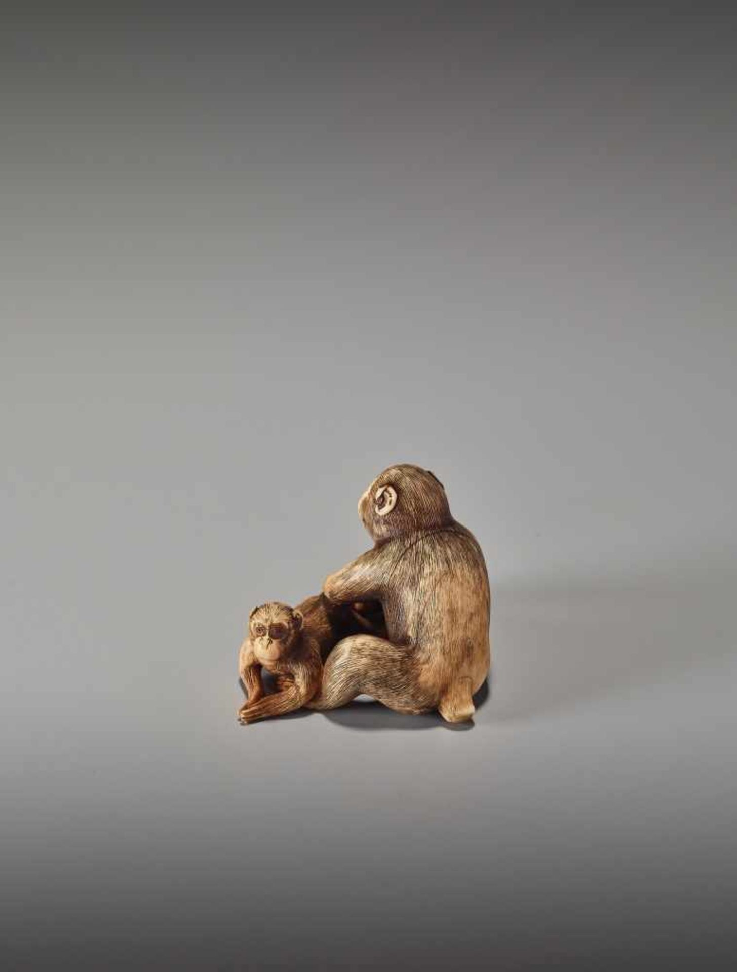 A RARE IVORY NETSUKE OF TWO GROOMING MONKEYS BY MASANAO OF KYOTOBy Masanao, ivory netsukeJapan, - Bild 6 aus 11