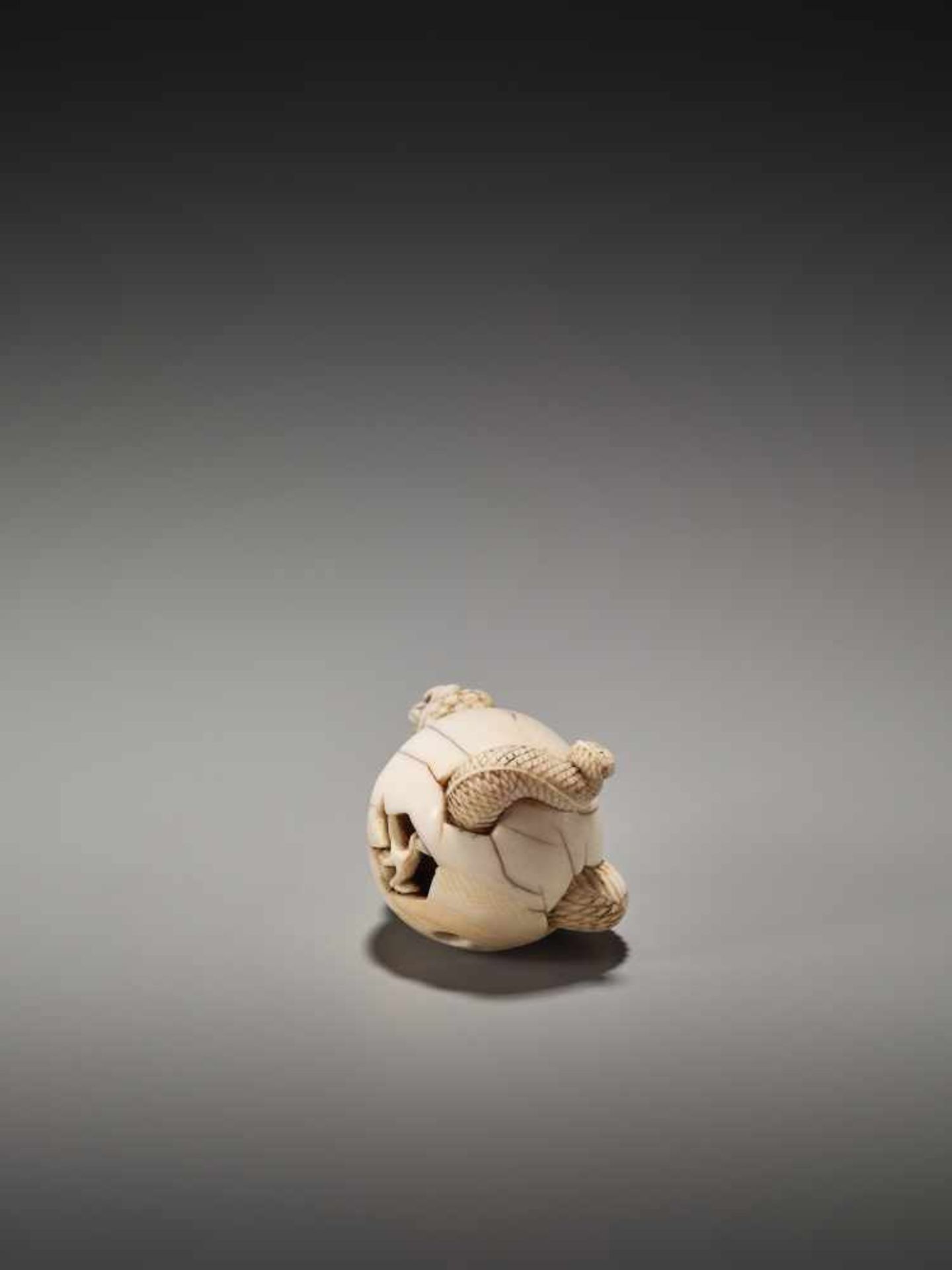 A VERY RARE IVORY NETSUKE OF A DRAGON HATCHING FROM AN EGG BY ICHISHIDO MASAKAZUBy Ichishido - Bild 5 aus 10