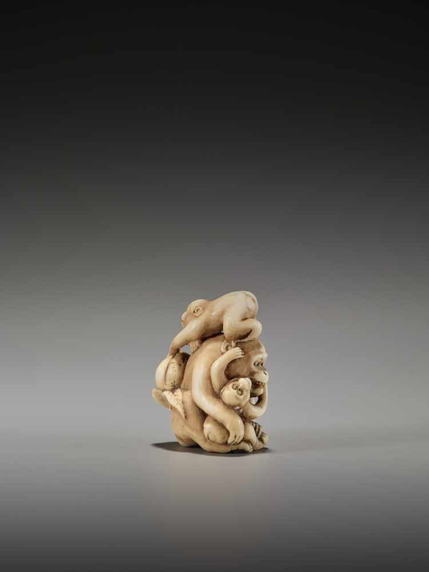 A FINE NETSUKE OF THREE MONKEYS WITH A PEACH, SCHOOL OF OHARA MITSUHIRO (1810-1875)Signed Mitsuhiro, - Bild 4 aus 12