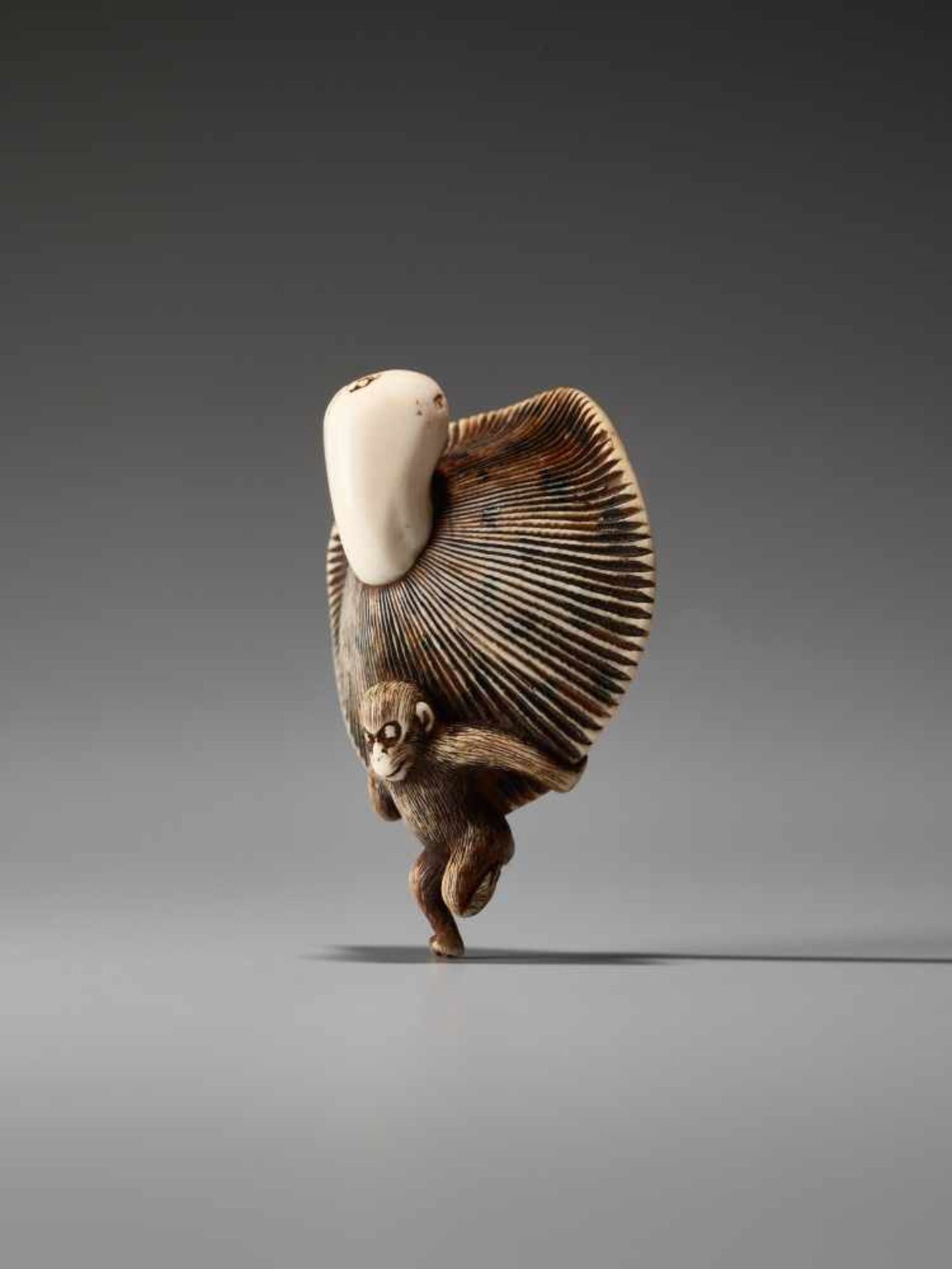 AN AMUSING IVORY NETSUKE OF A SMALL MONKEY CARRYING A LARGE MUSHROOMUnsigned, ivory netsukeJapan, - Bild 3 aus 9