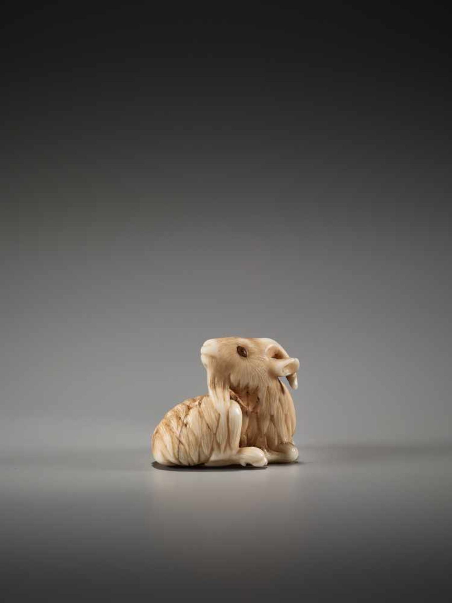 AN IVORY NETSUKE OF A RECUMBENT GOAT ATTRIBUTED TO RANMEIUnsigned, attributed to Ranmei, ivory - Bild 5 aus 7