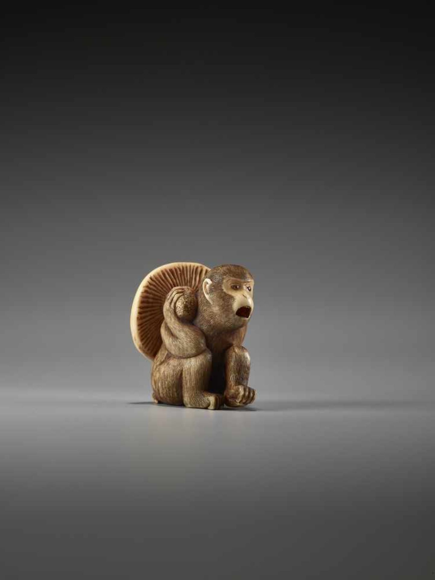 A FINE IVORY NETSUKE OF A MONKEY CARRYING A LARGE MUSHROOMUnsigned, ivory netsukeJapan, 19th