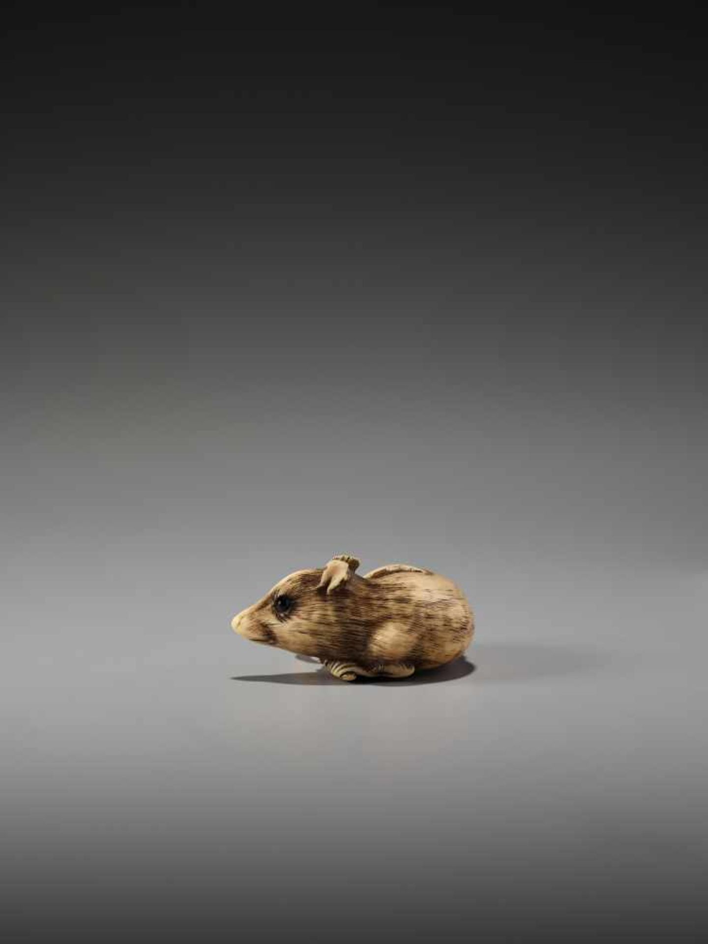 AN EXCELLENT IVORY NETSUKE OF A RAT WITH BAMBOO NODE BY SADAYOSHIBy Sadayoshi, ivory netsukeJapan, - Image 2 of 11