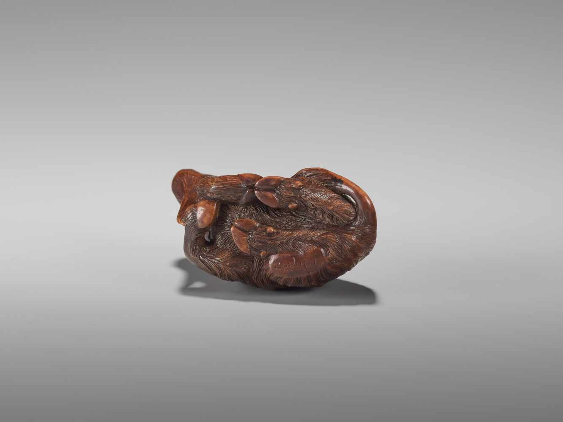 A FINE WOOD NETSUKE OF A GOAT BY KOKEIBy Kokei, wood netsukeJapan, Kuwana, Ise province, early - Image 9 of 14