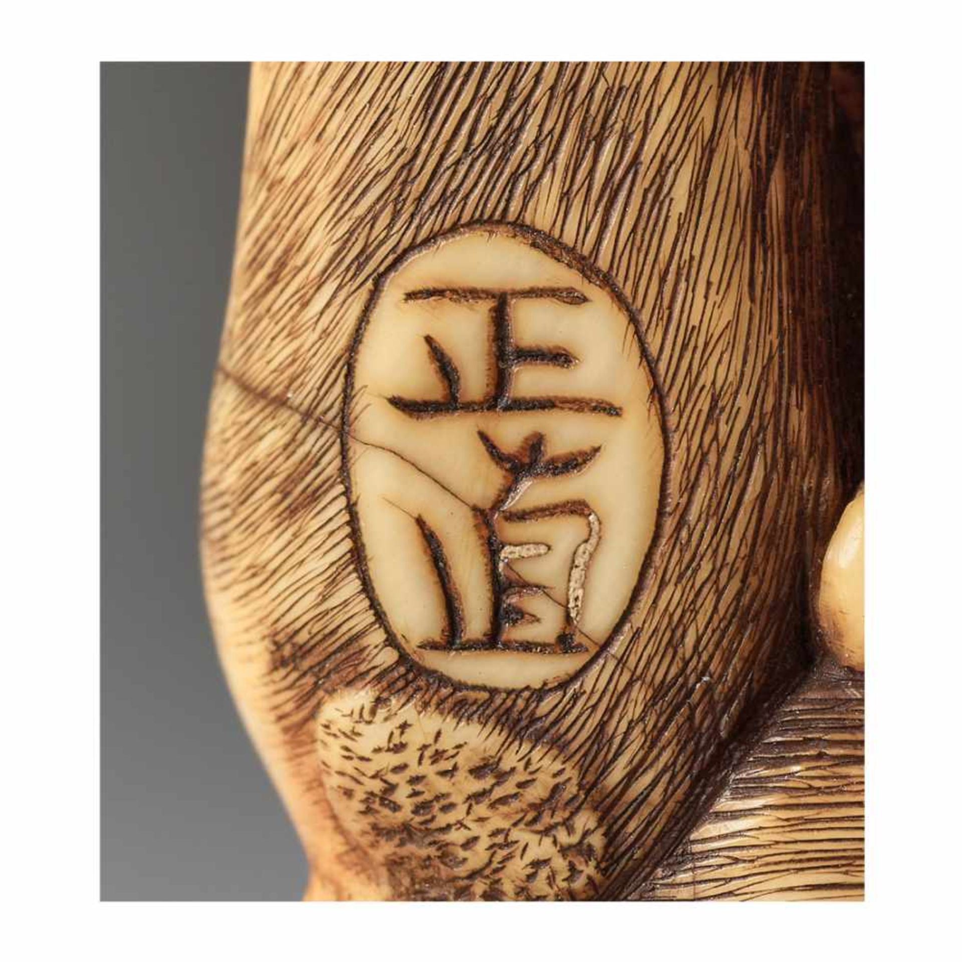 A RARE IVORY NETSUKE OF TWO GROOMING MONKEYS BY MASANAO OF KYOTOBy Masanao, ivory netsukeJapan, - Bild 10 aus 11