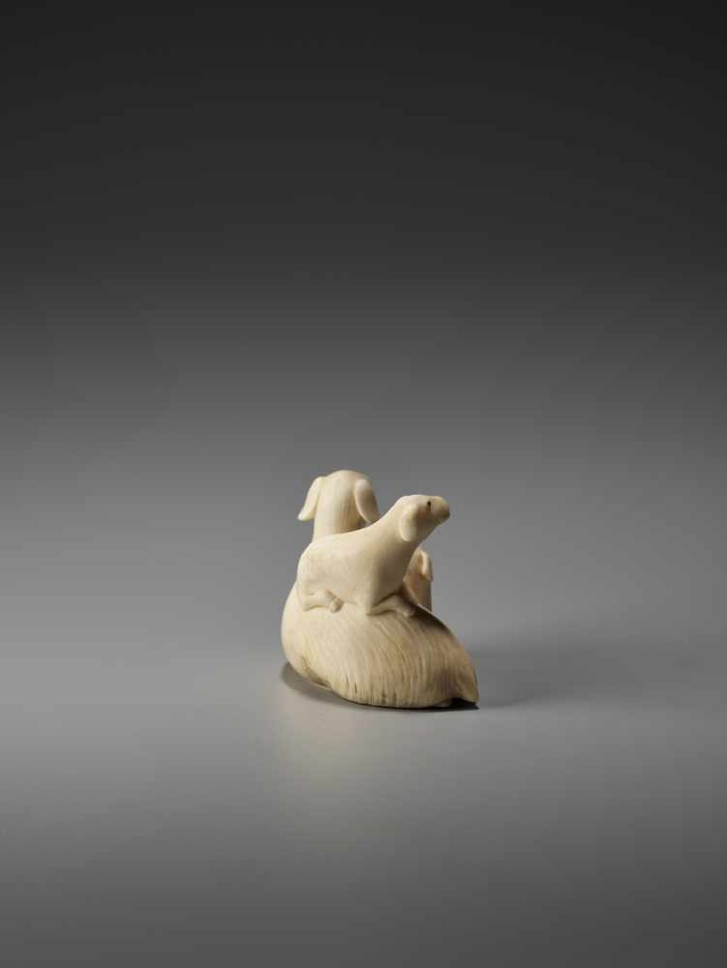 A FINE IVORY NETSUKE OF GROUP OF GOATS AFTER KAIGYOKUSAI MASATSUGU (1813-1892) Signed Kaigyokusai, - Bild 5 aus 9