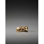 AN EXCELLENT IVORY NETSUKE OF A RAT WITH BAMBOO NODE BY SADAYOSHIBy Sadayoshi, ivory netsukeJapan,