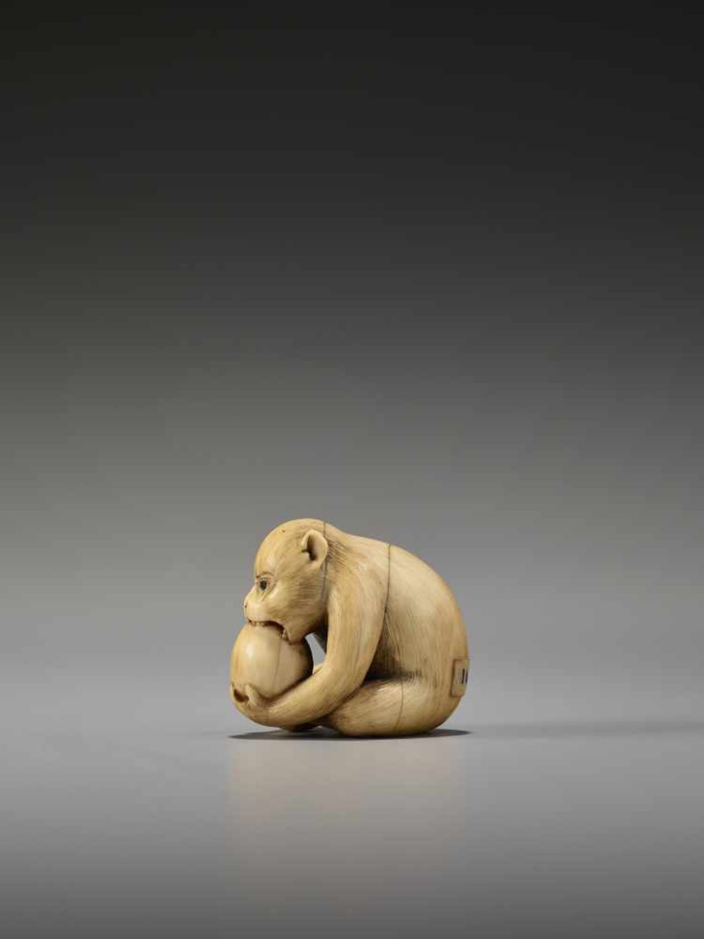 AN EXCELLENT IVORY NETSUKE OF A MONKEY EATING A PEACH BY RANTEIBy Rantei, ivory netsukeJapan, Kyoto, - Image 4 of 13