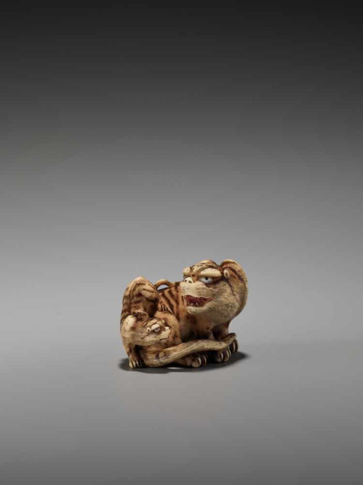 AN EXCEPTIONAL IVORY NETSUKE OF A TIGER WITH CUB BY HAKURYUBy Hakuryu, ivory netsukeJapan, Kyoto, - Bild 8 aus 13