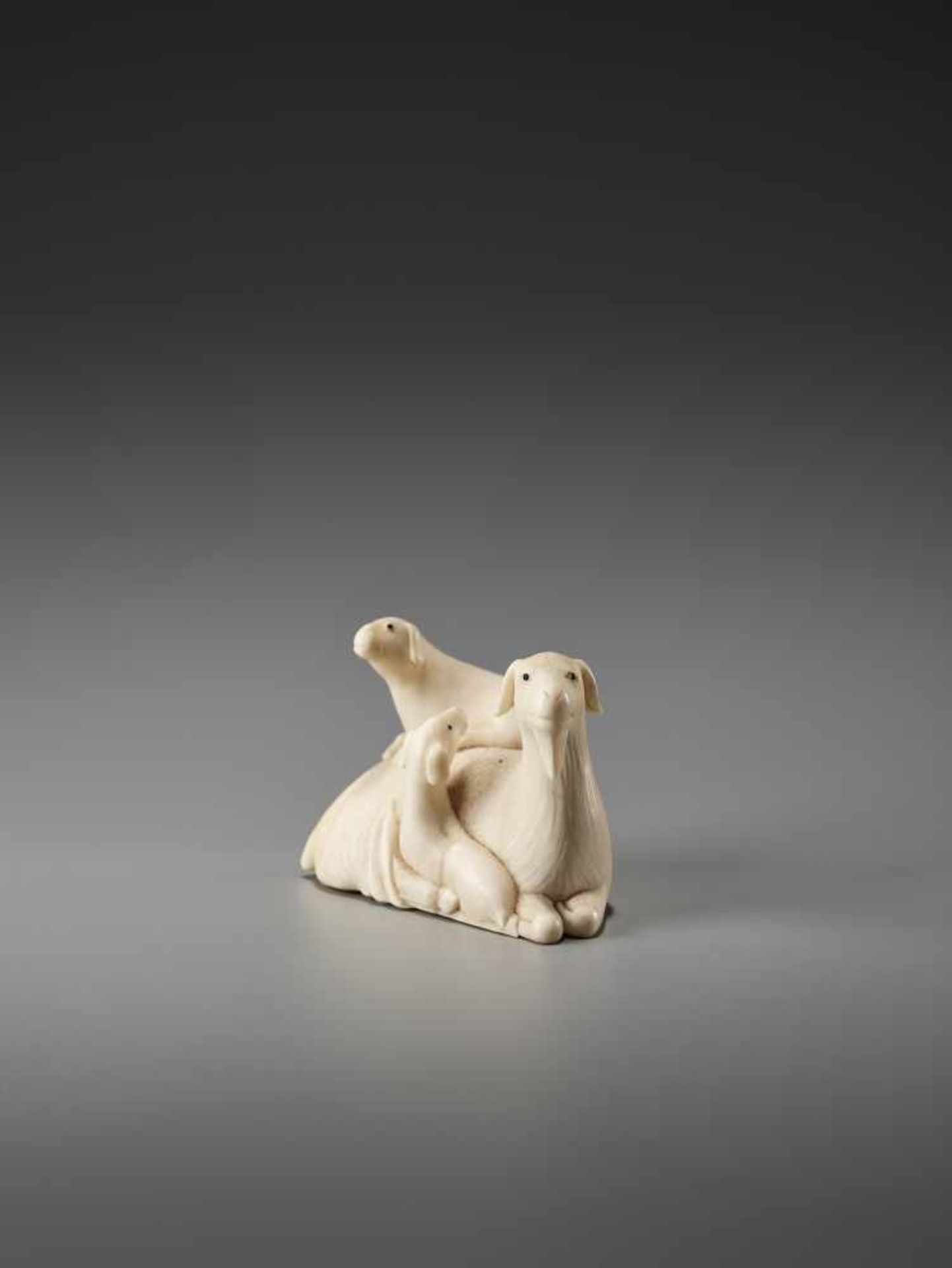 A FINE IVORY NETSUKE OF GROUP OF GOATS AFTER KAIGYOKUSAI MASATSUGU (1813-1892) Signed Kaigyokusai, - Image 7 of 9