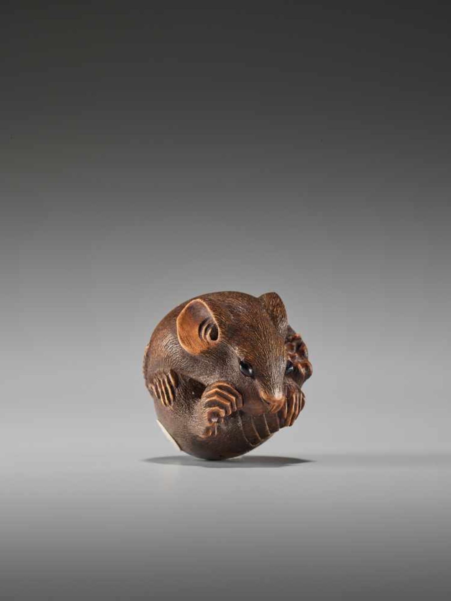 A FINE WOOD NETSUKE OF A COILED RAT BY MASANAOBy Masanao, wood netsukeJapan, Ise-Yamada, 19th - Bild 6 aus 8